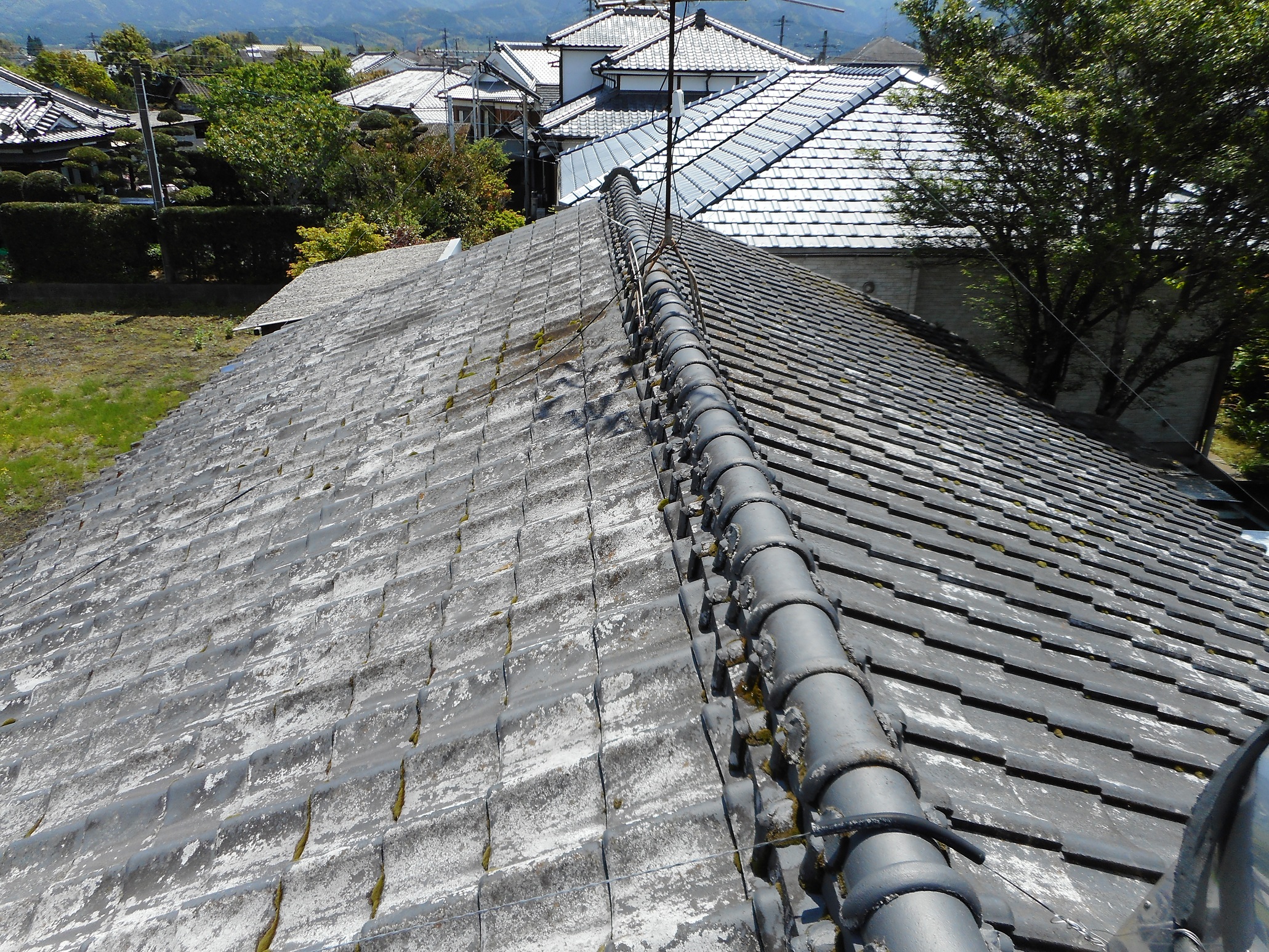 Before画像