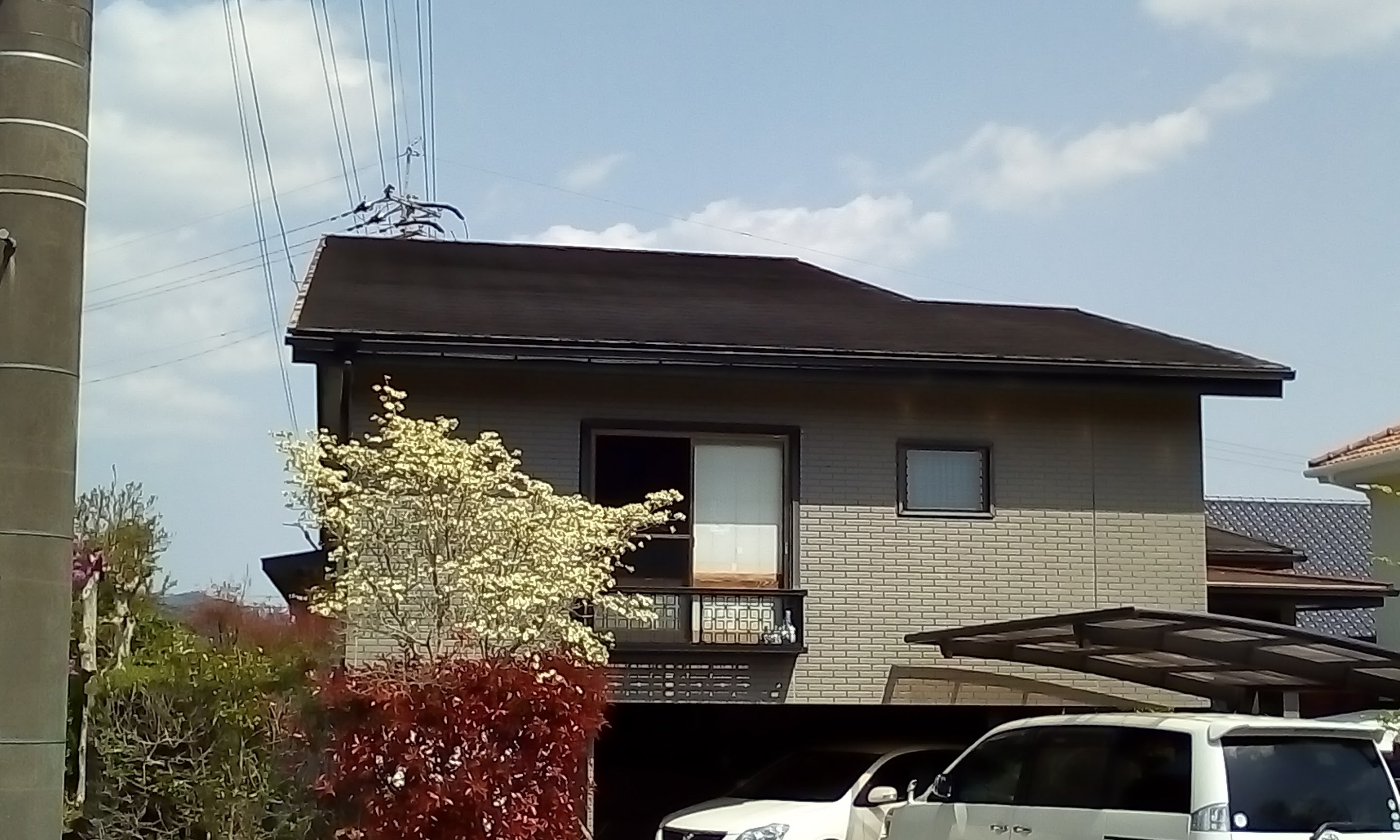 Before画像