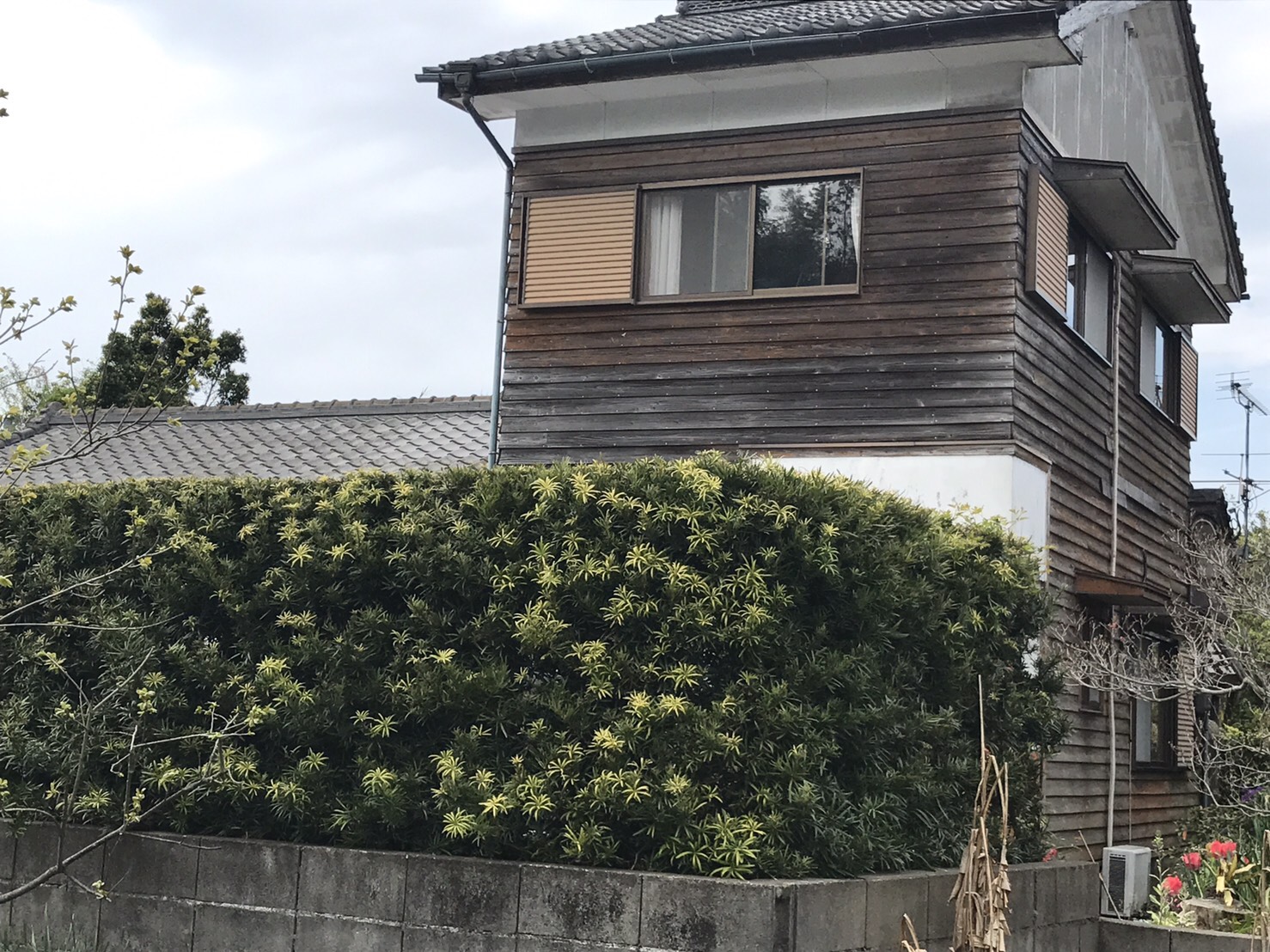 Before画像