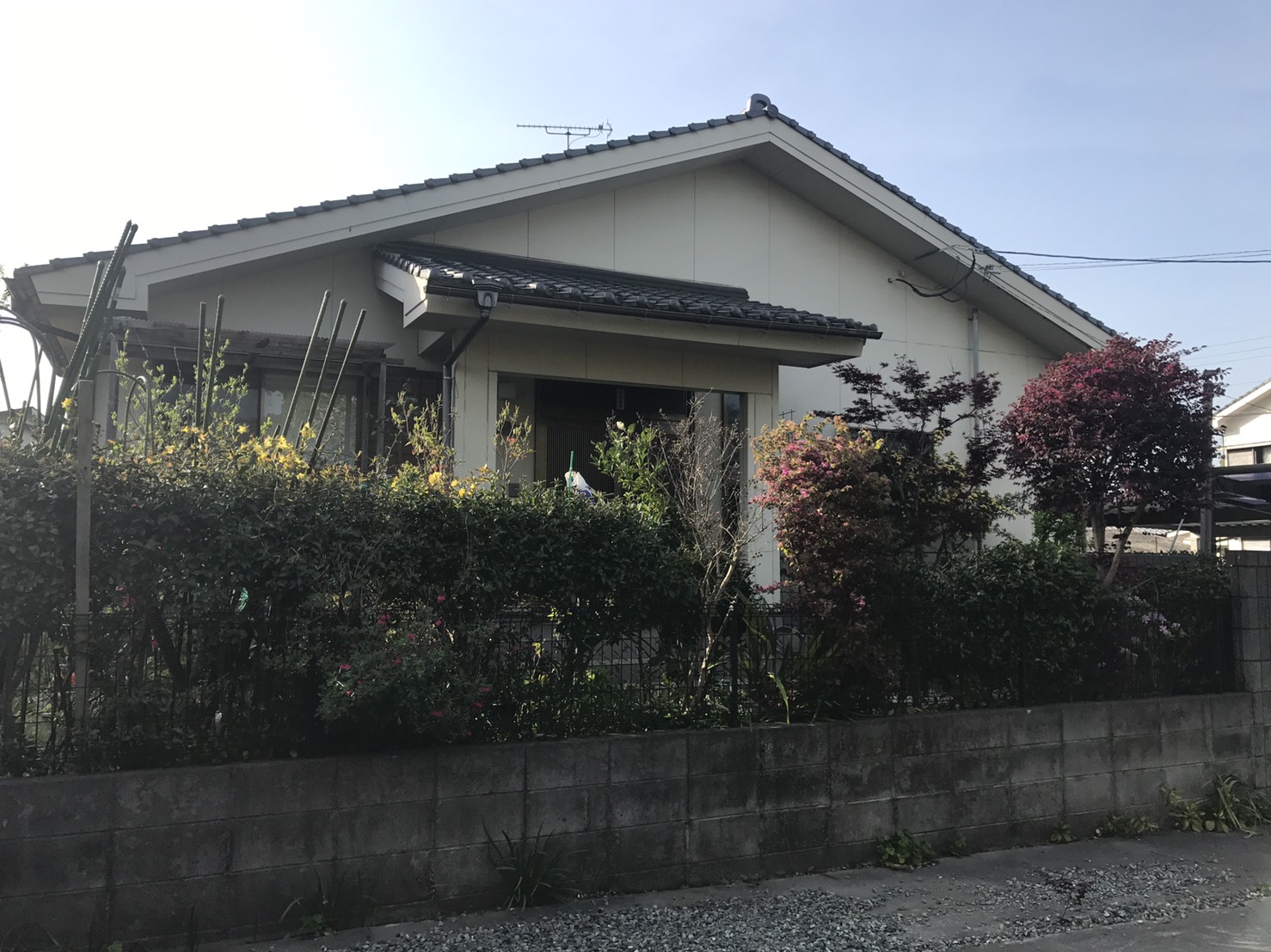 Before画像