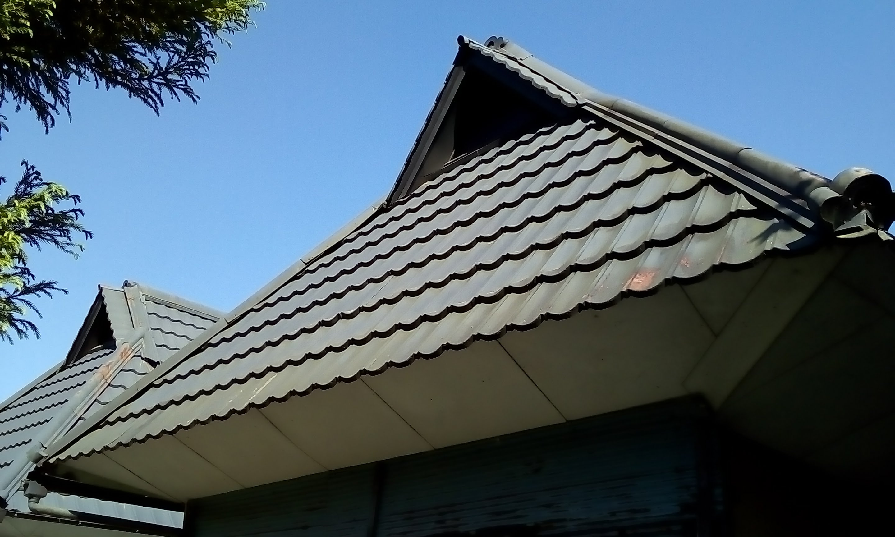 Before画像