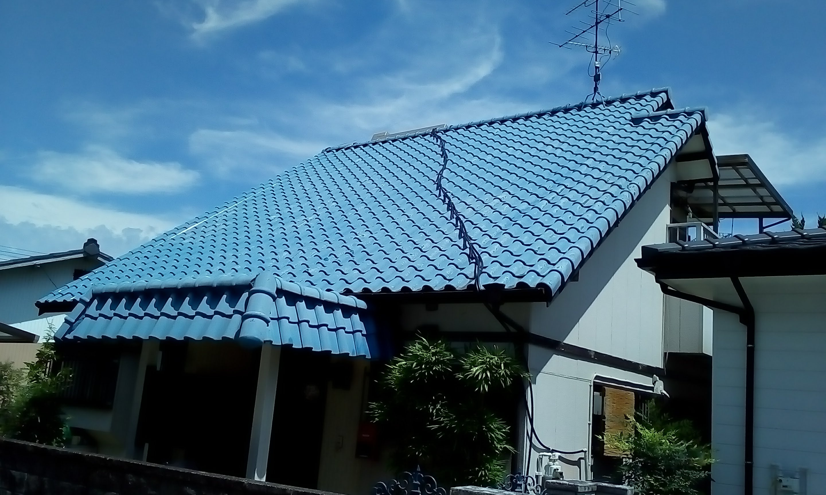 Before画像