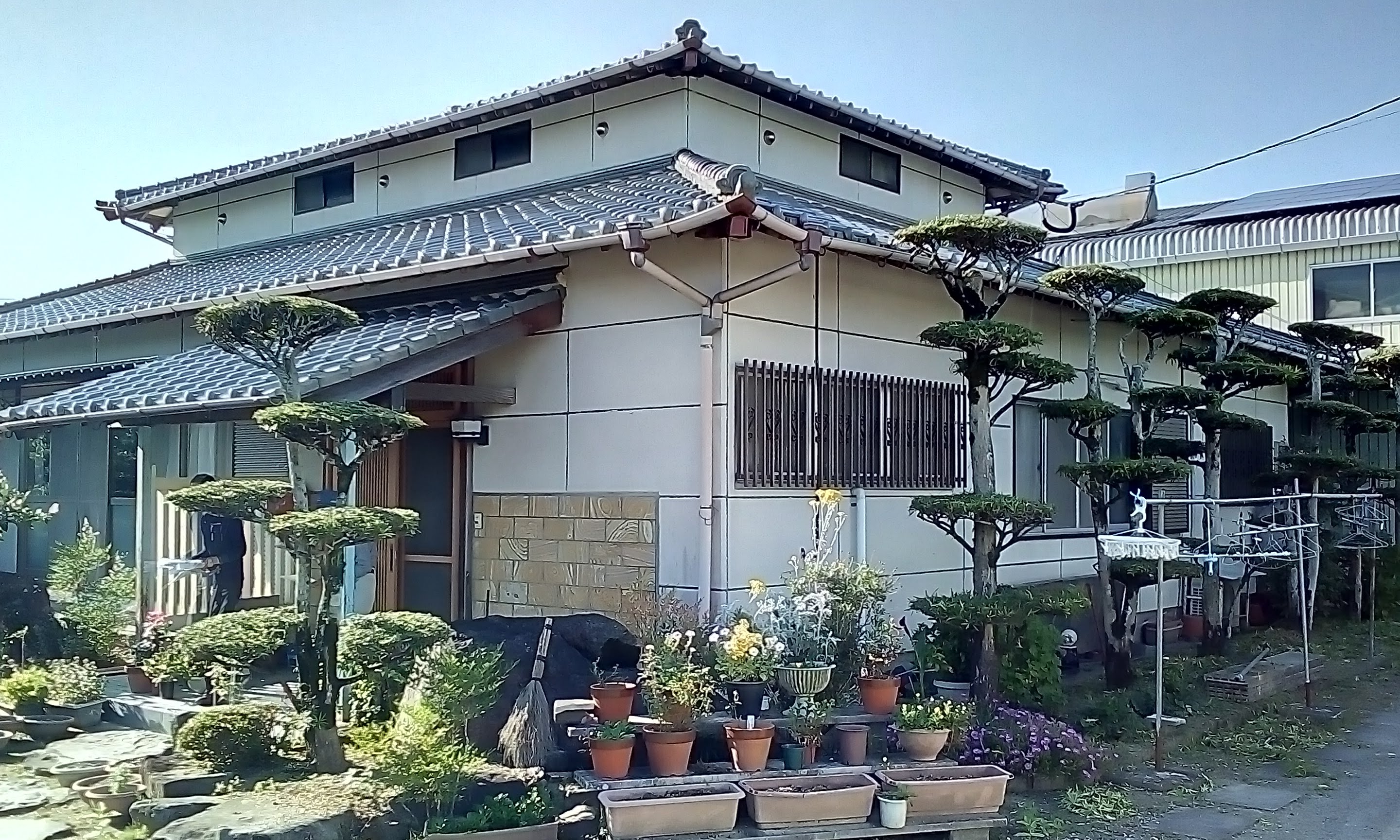 Before画像