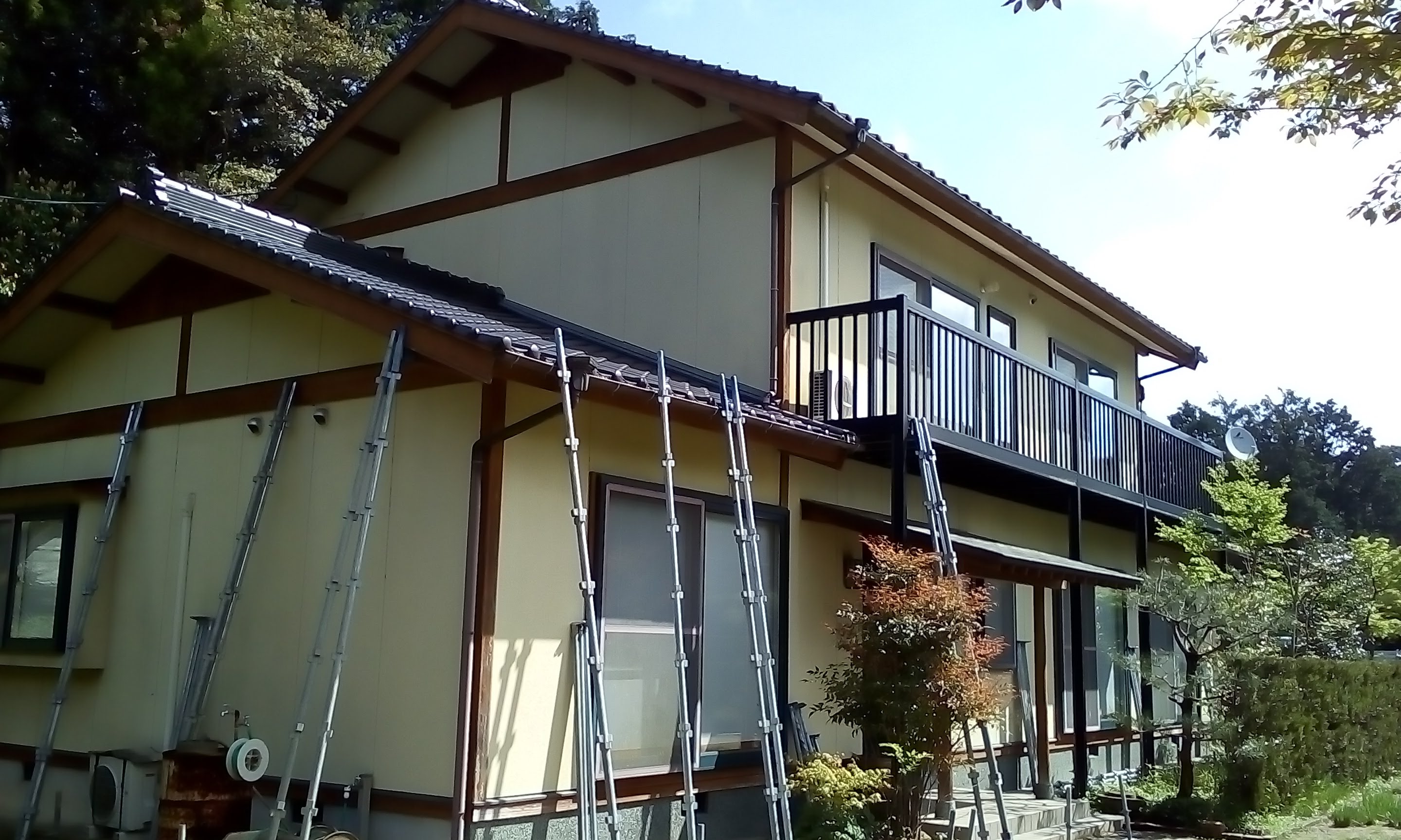 Before画像