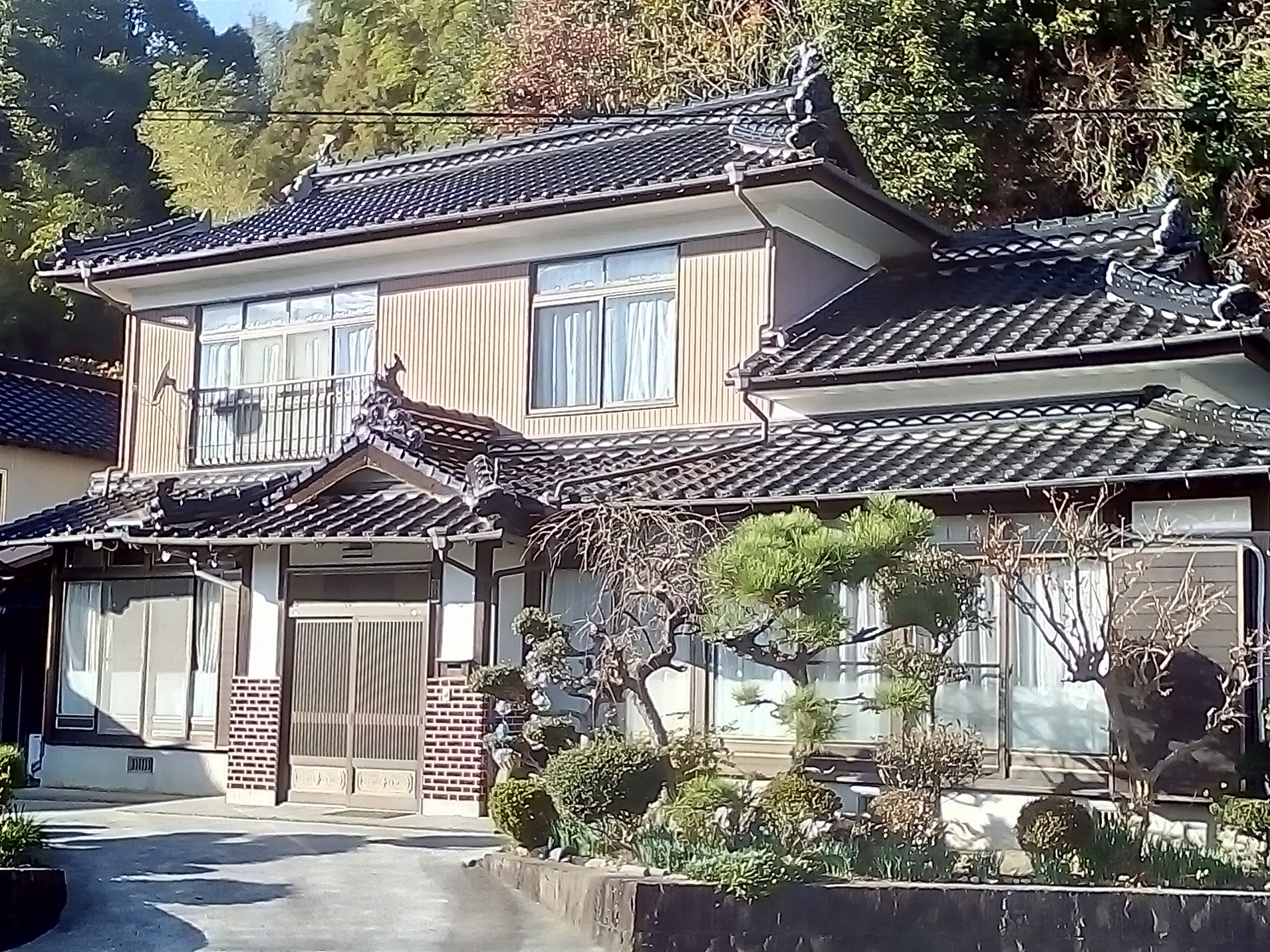 Before画像