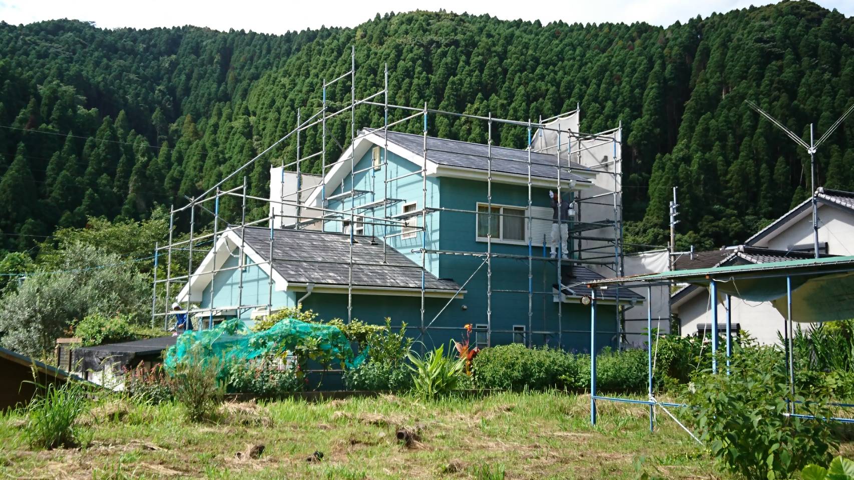 Before画像
