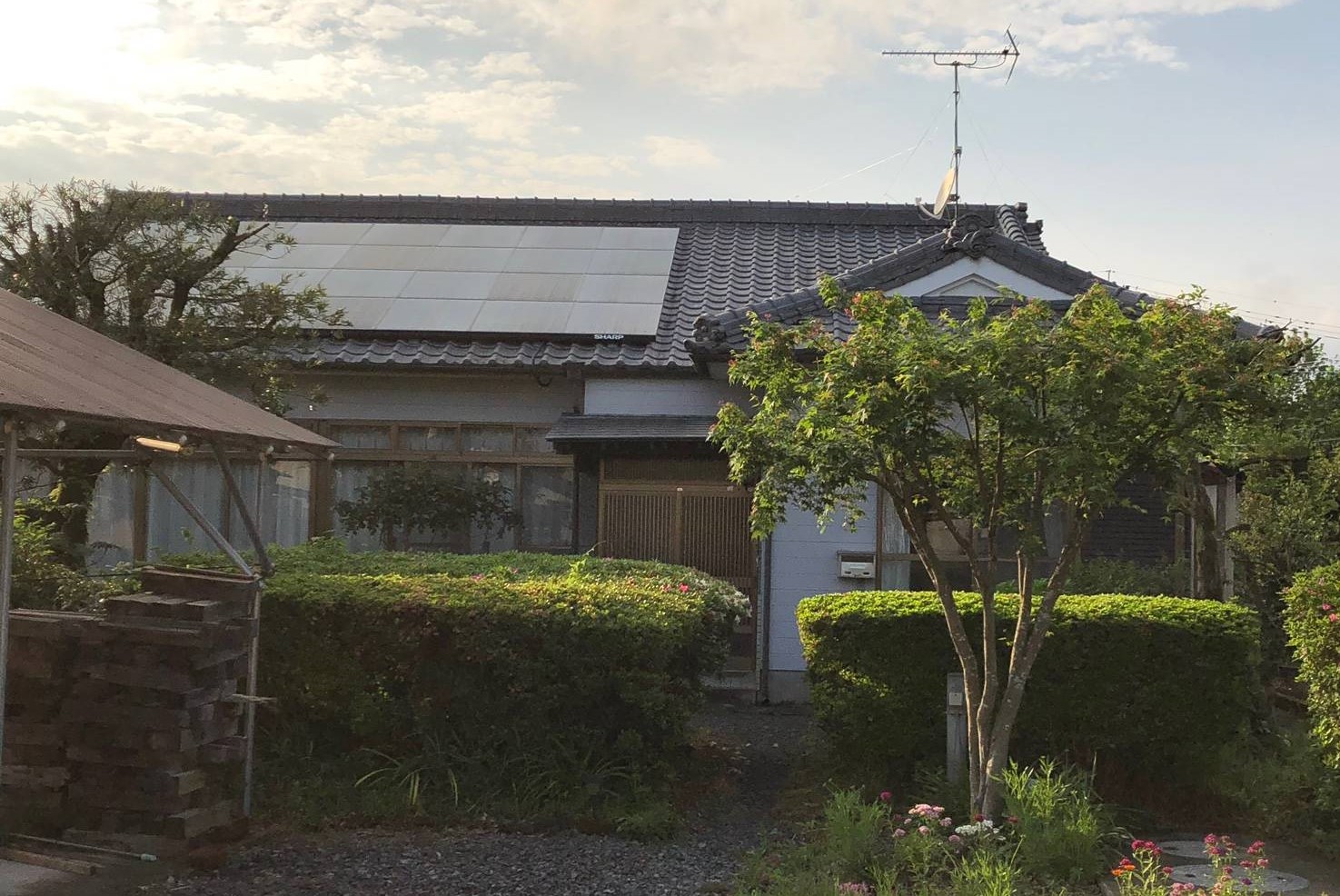 Before画像