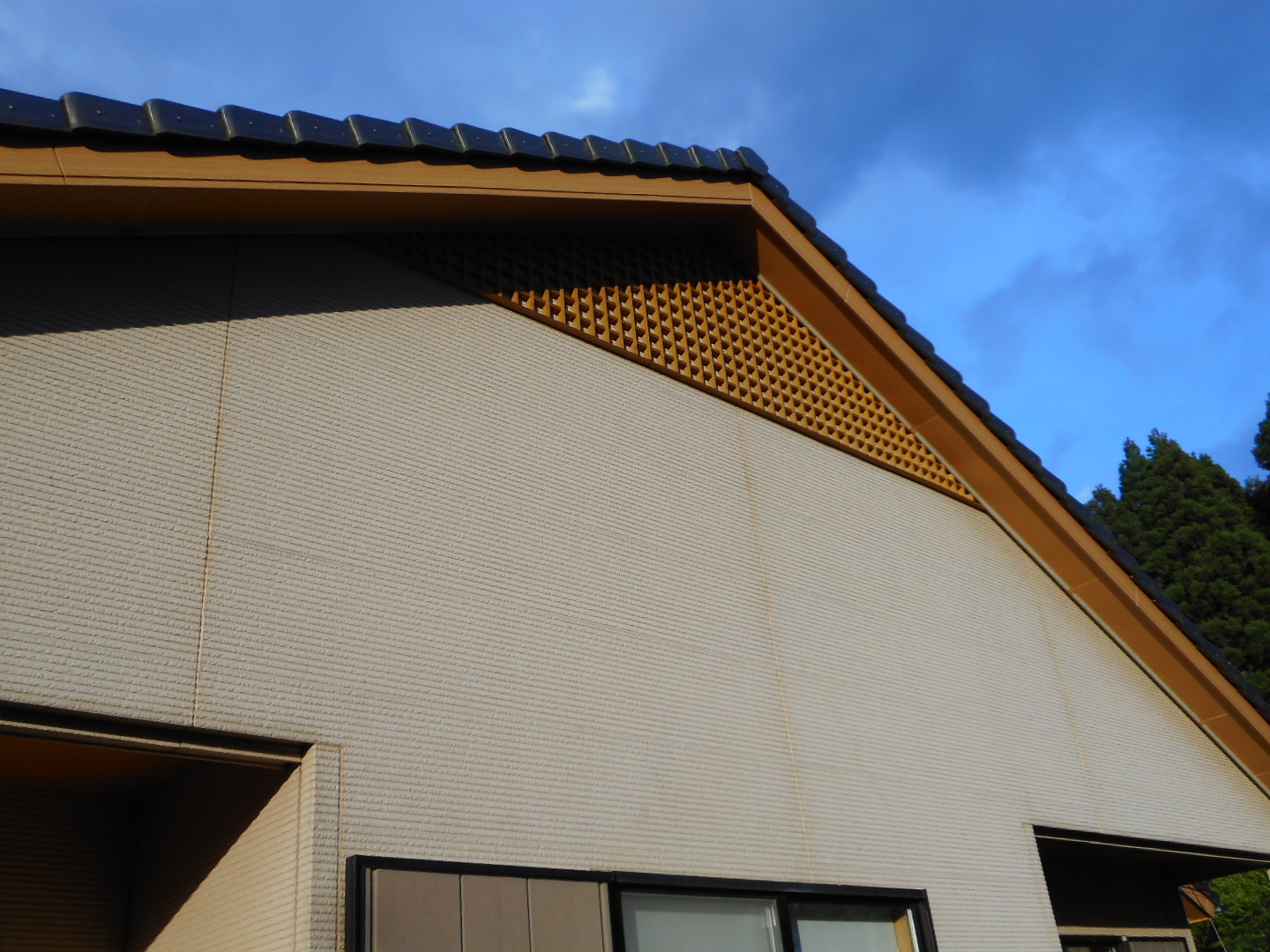 Before画像