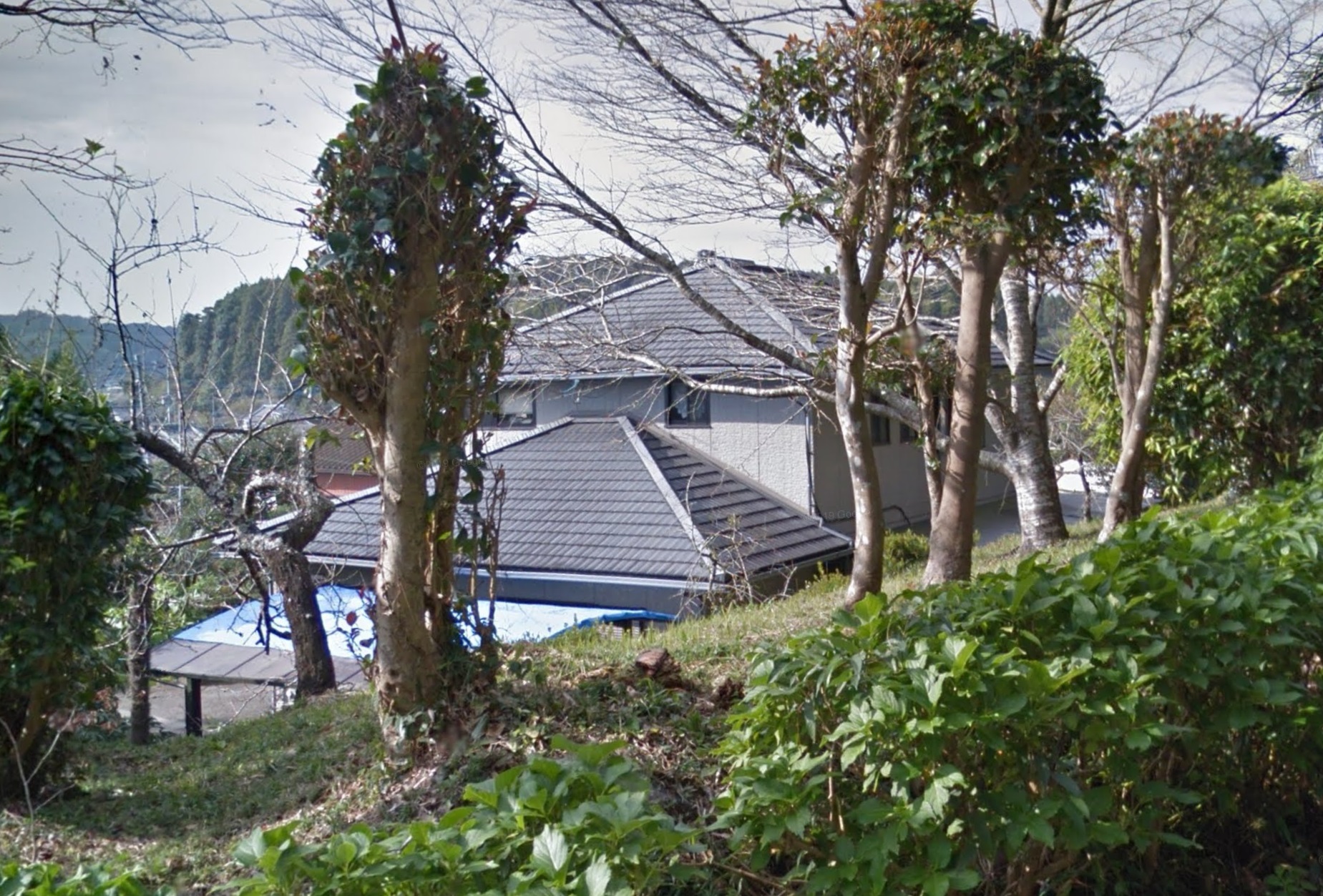 Before画像