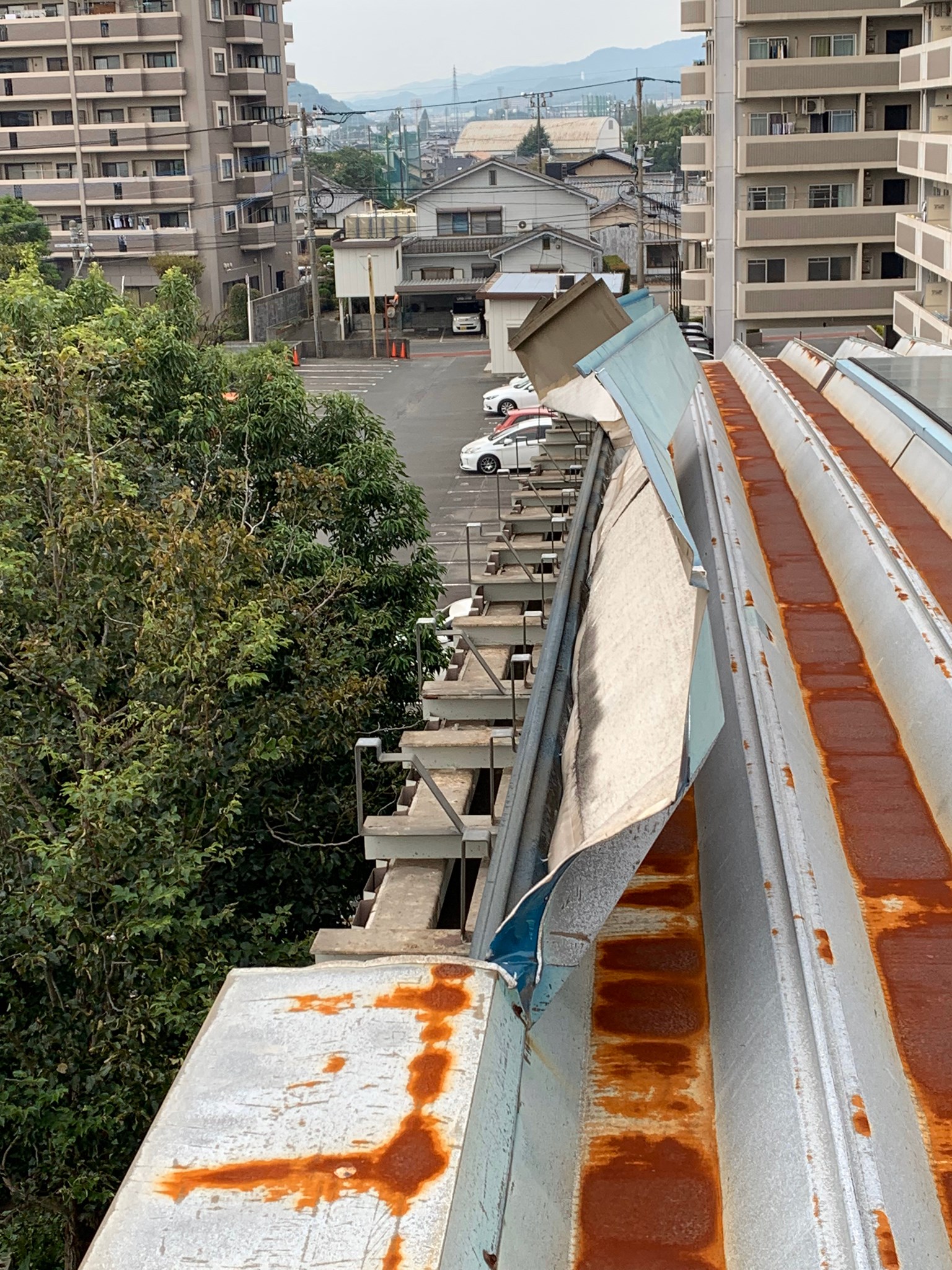 Before画像