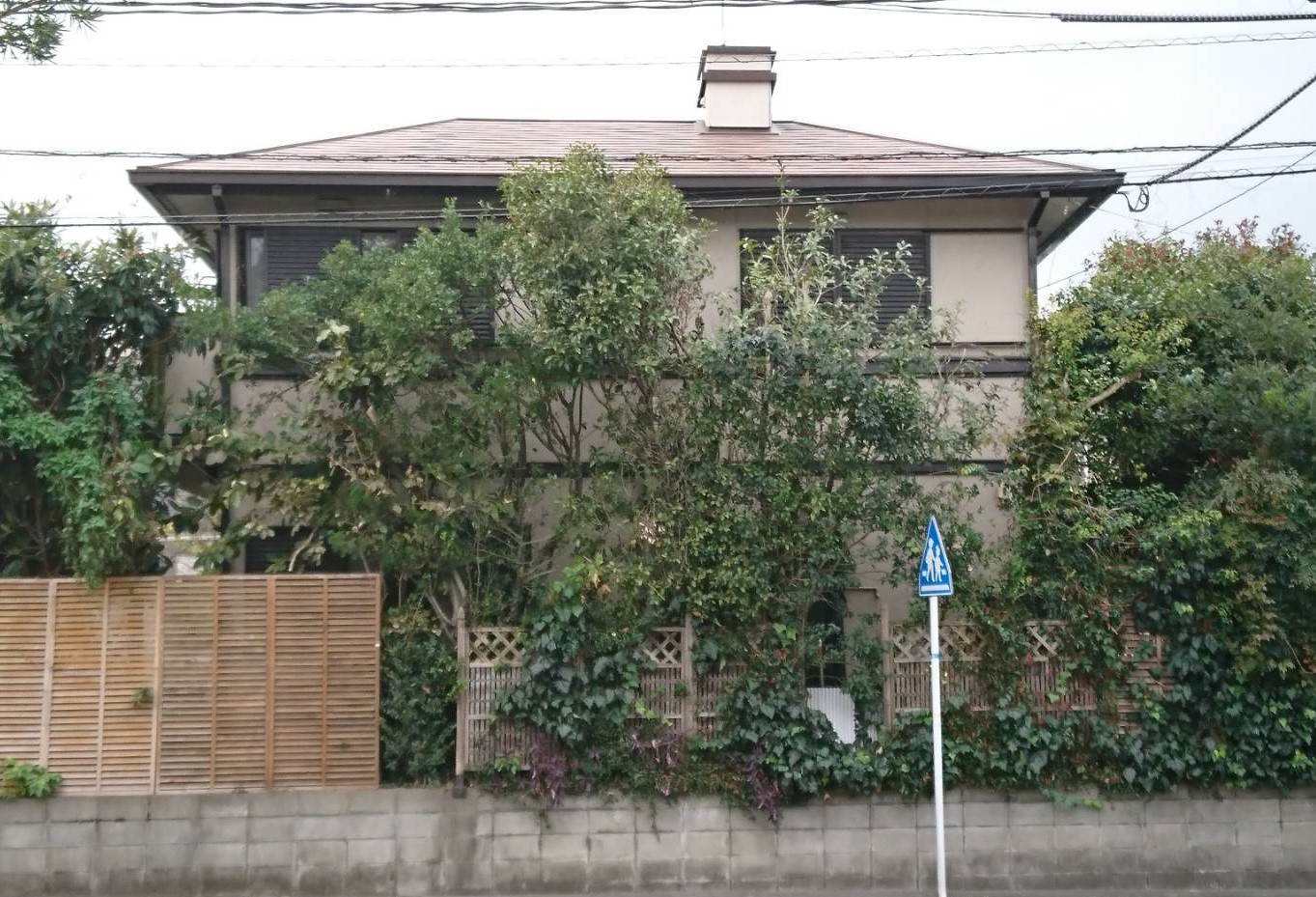 Before画像