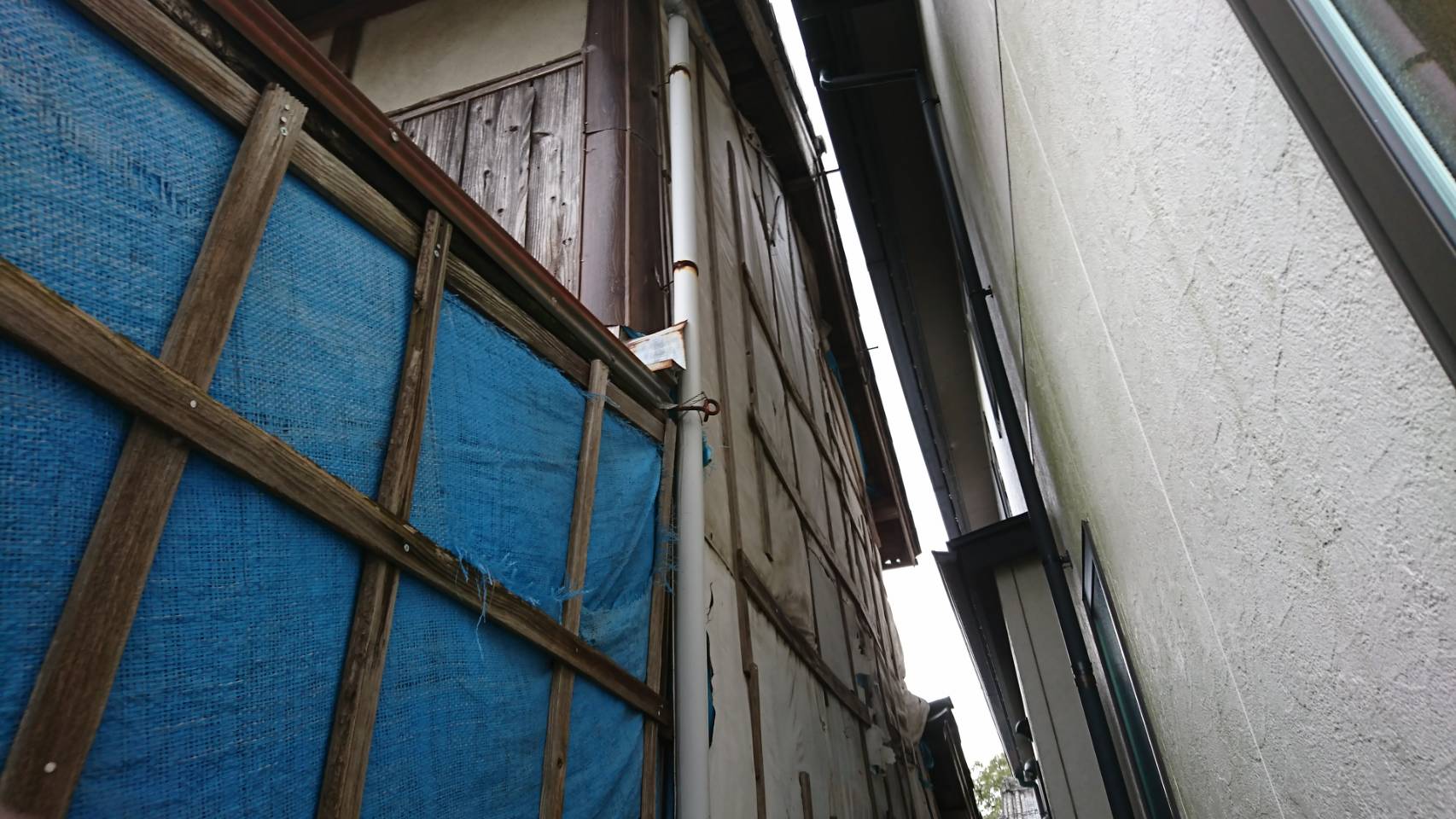 Before画像