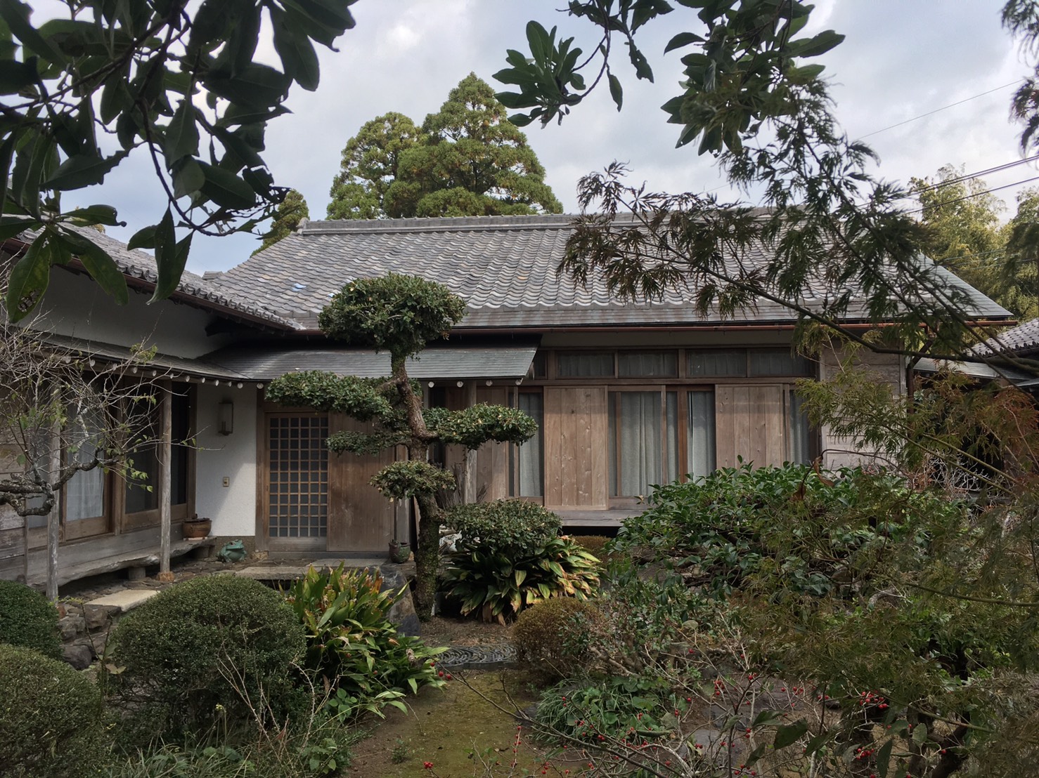 Before画像