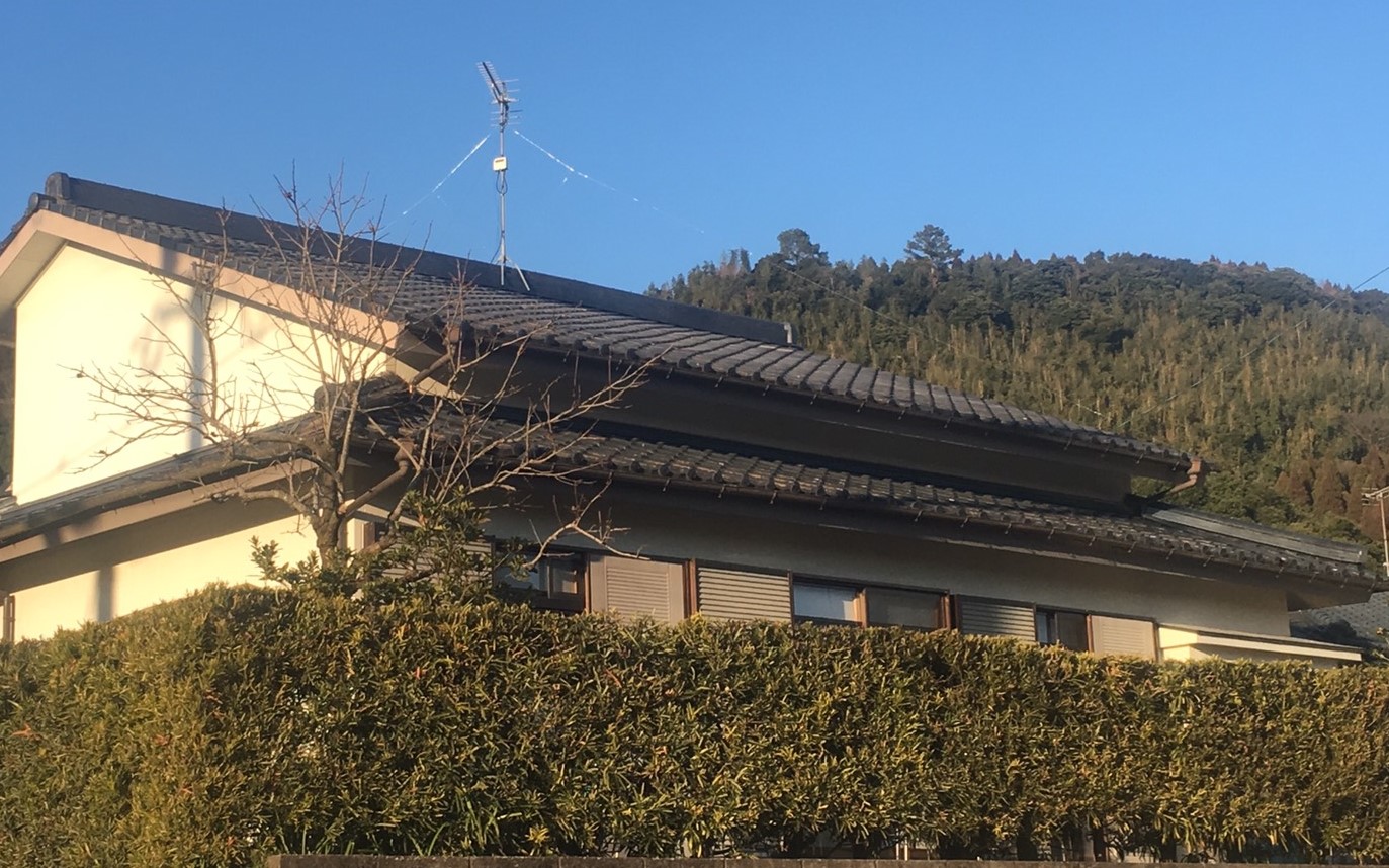 Before画像