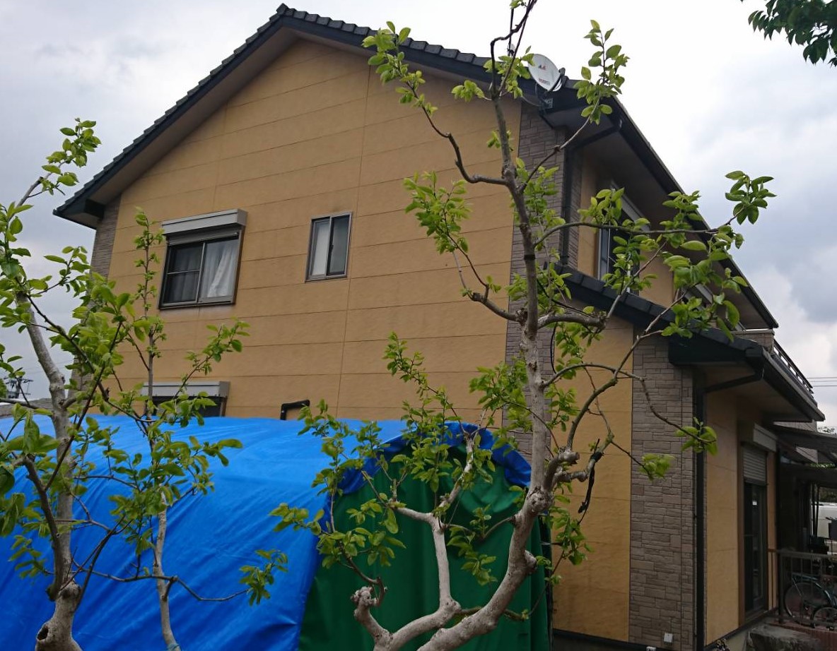 Before画像
