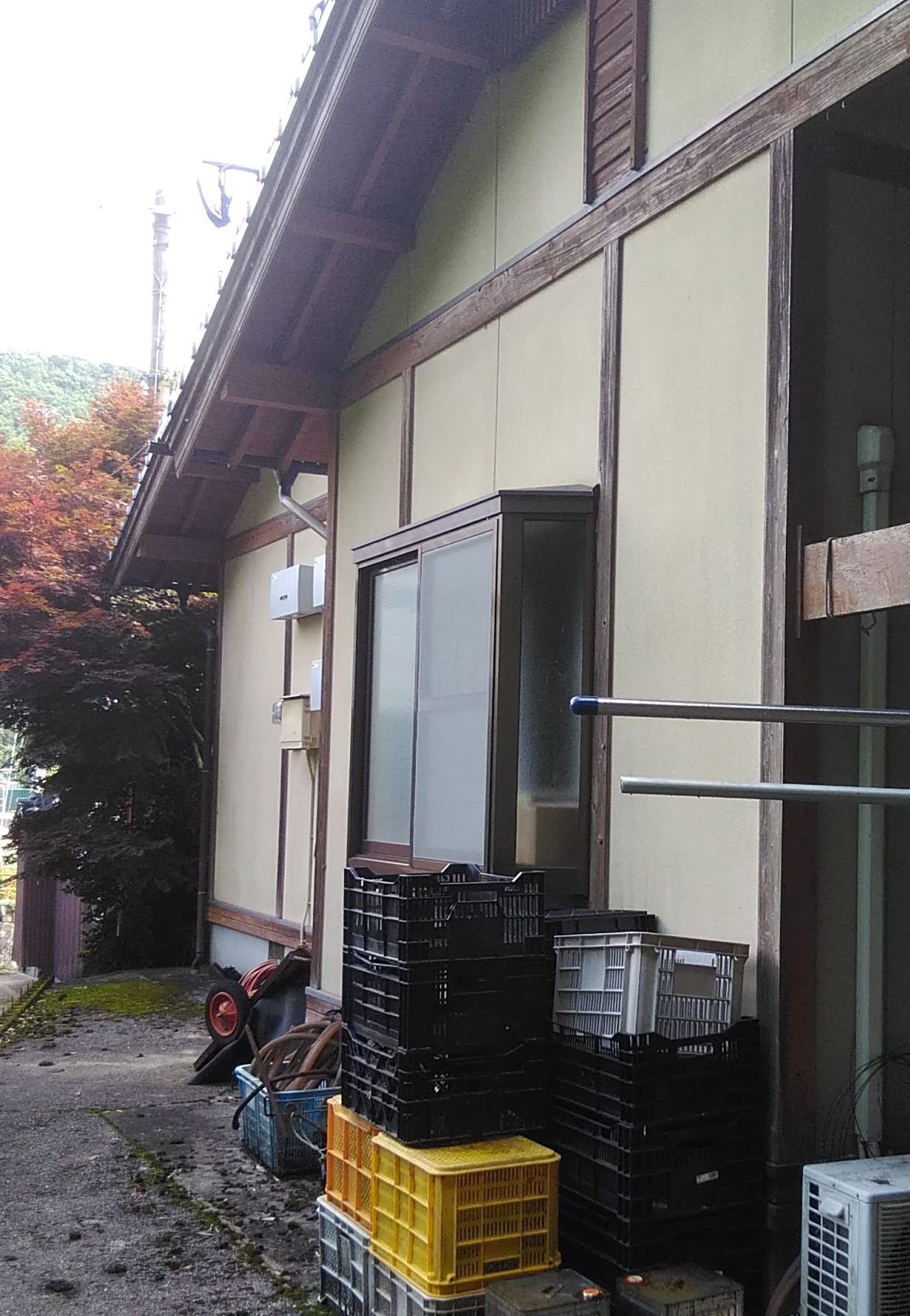 Before画像
