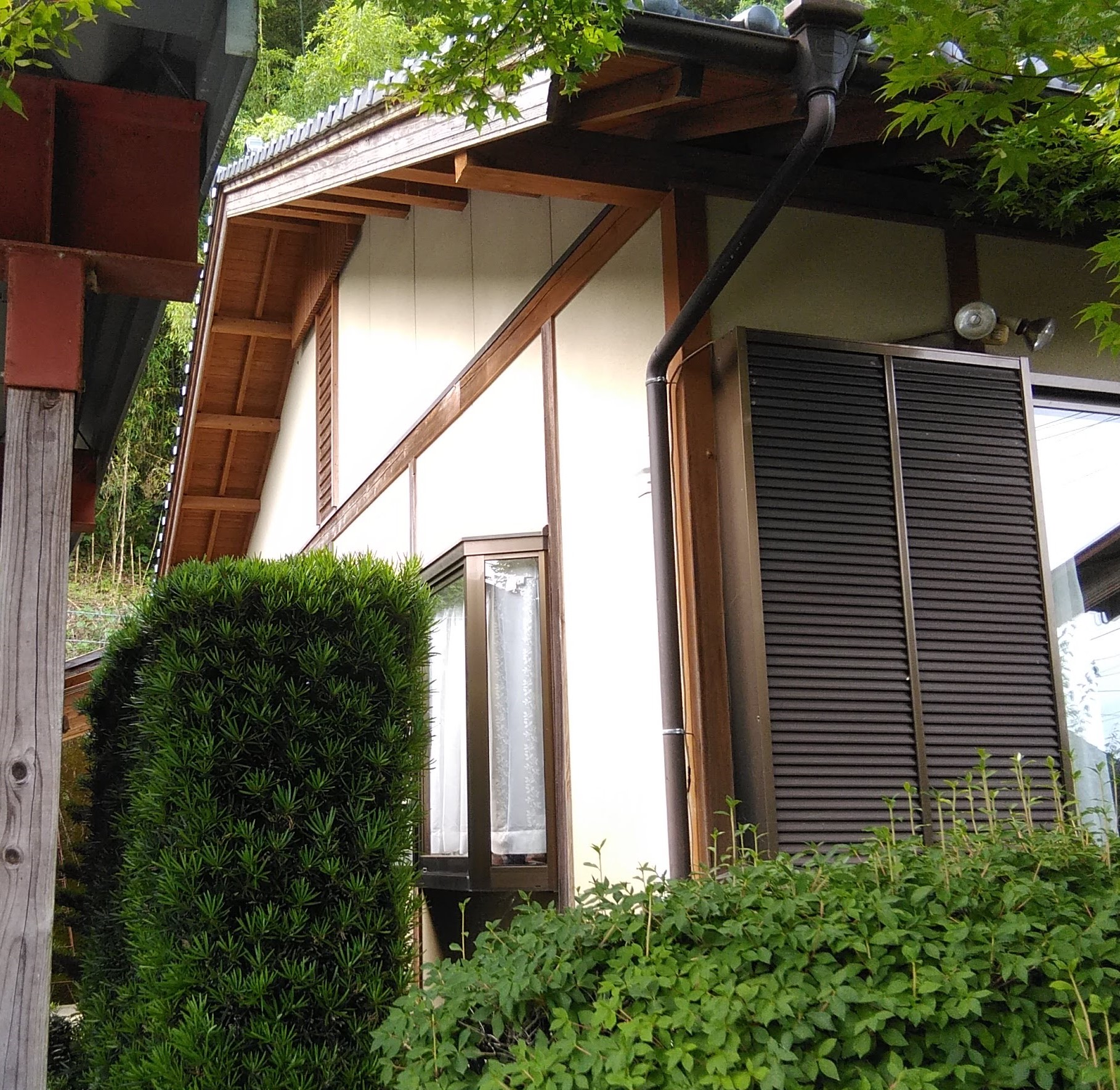 Before画像