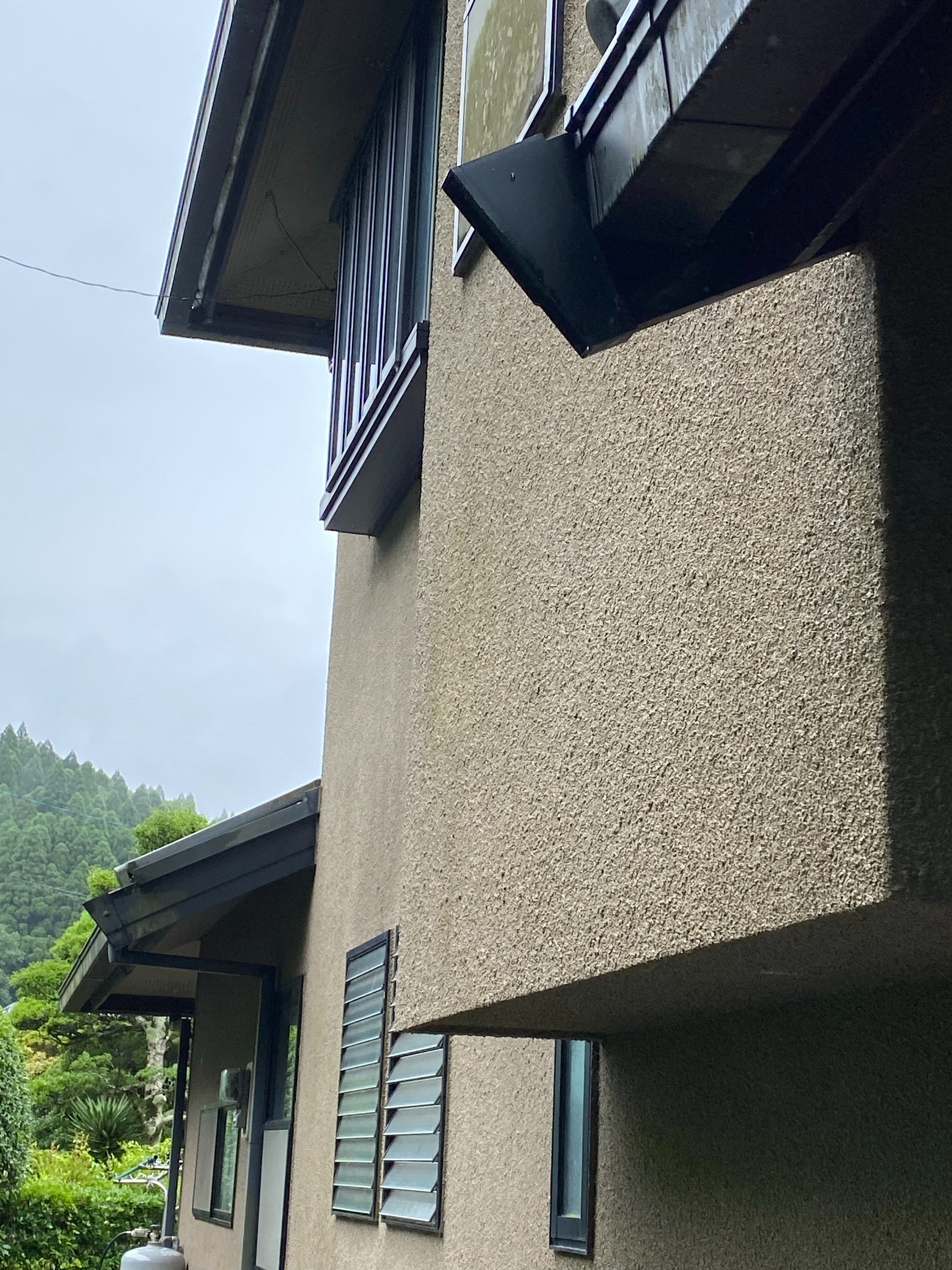 Before画像