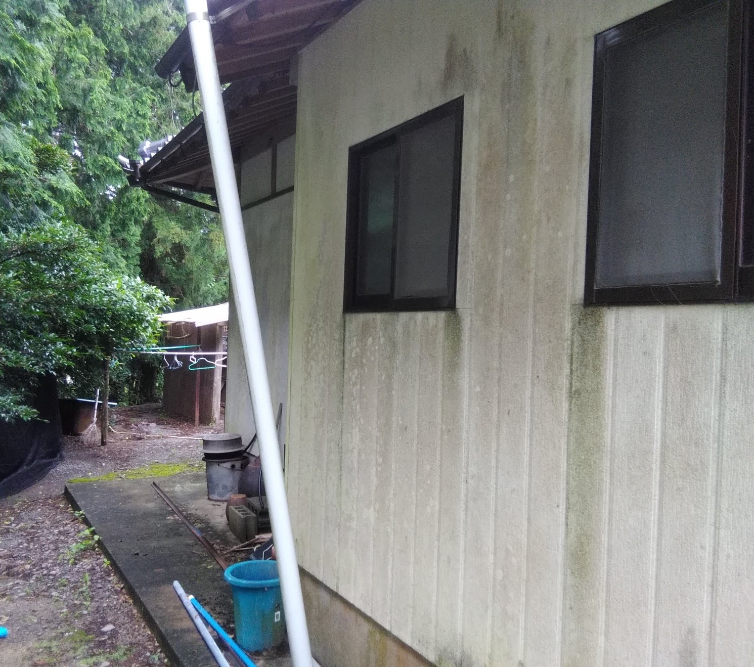 Before画像
