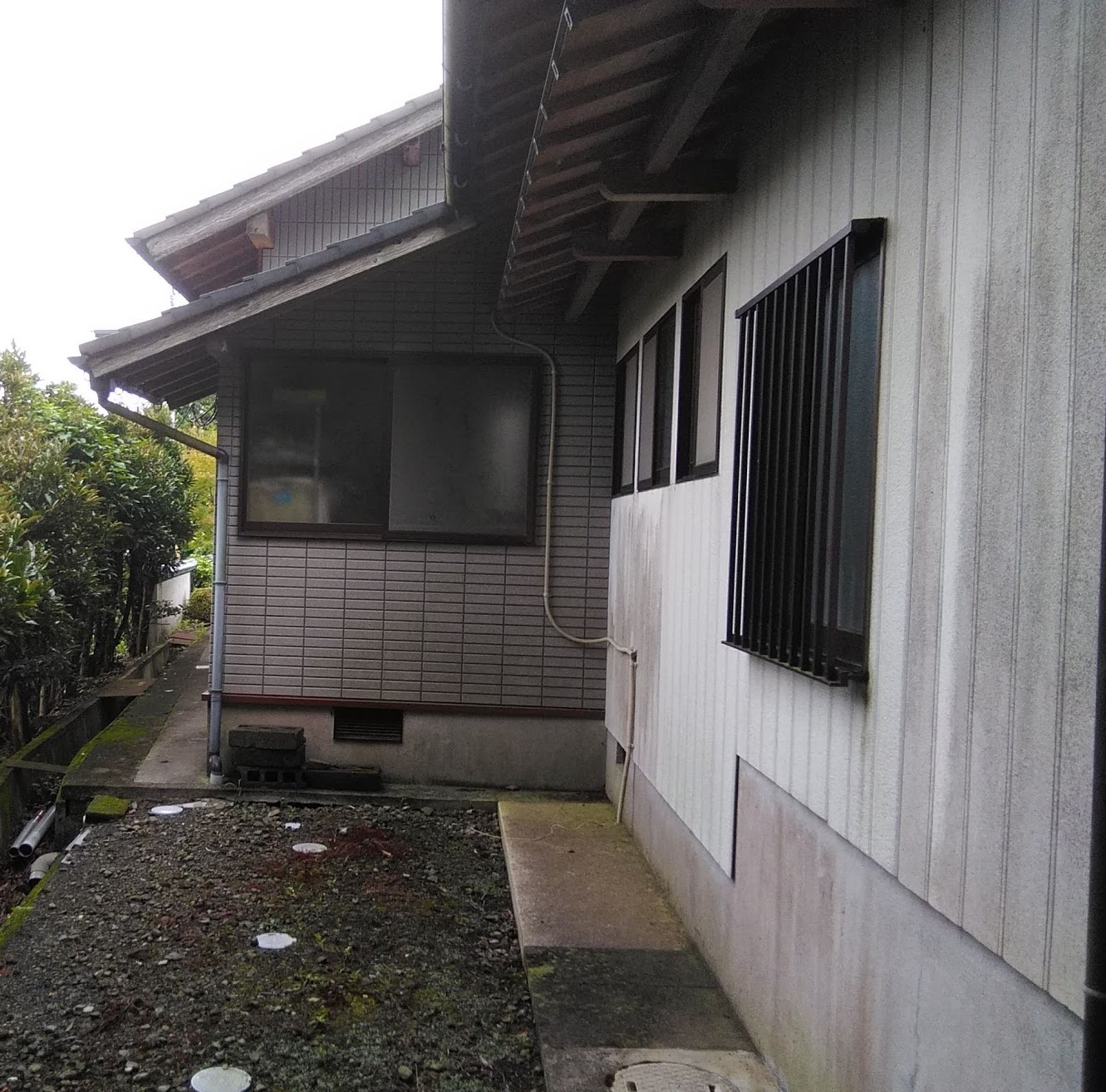 Before画像