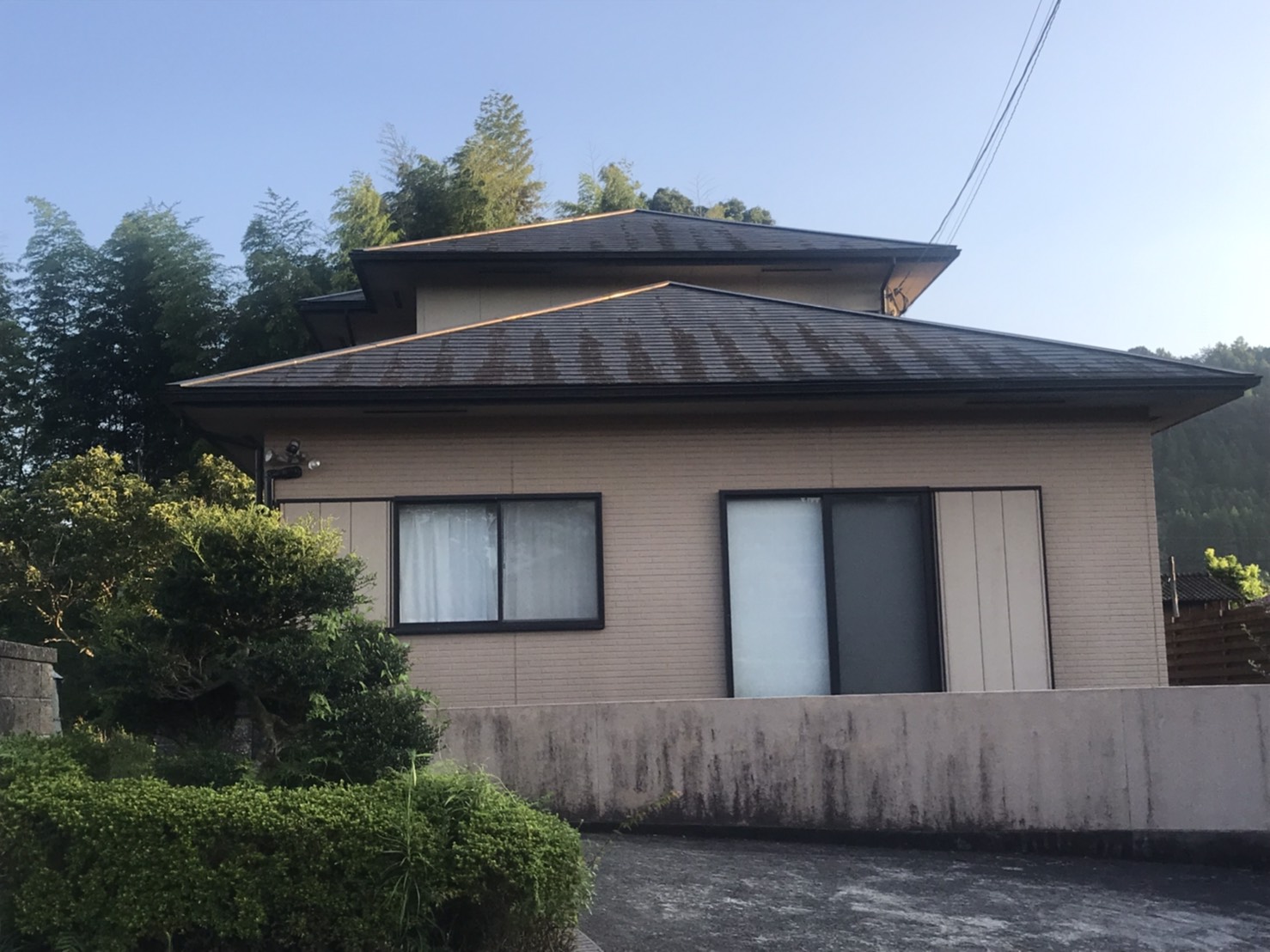 Before画像