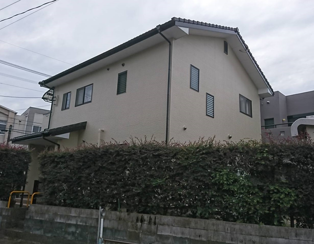 After画像