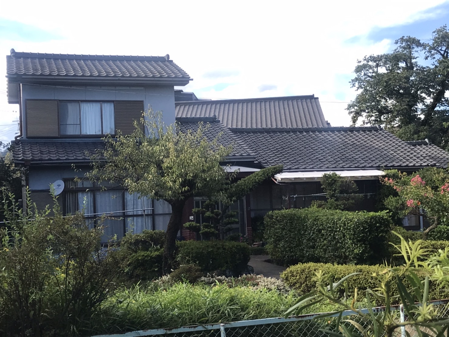 Before画像