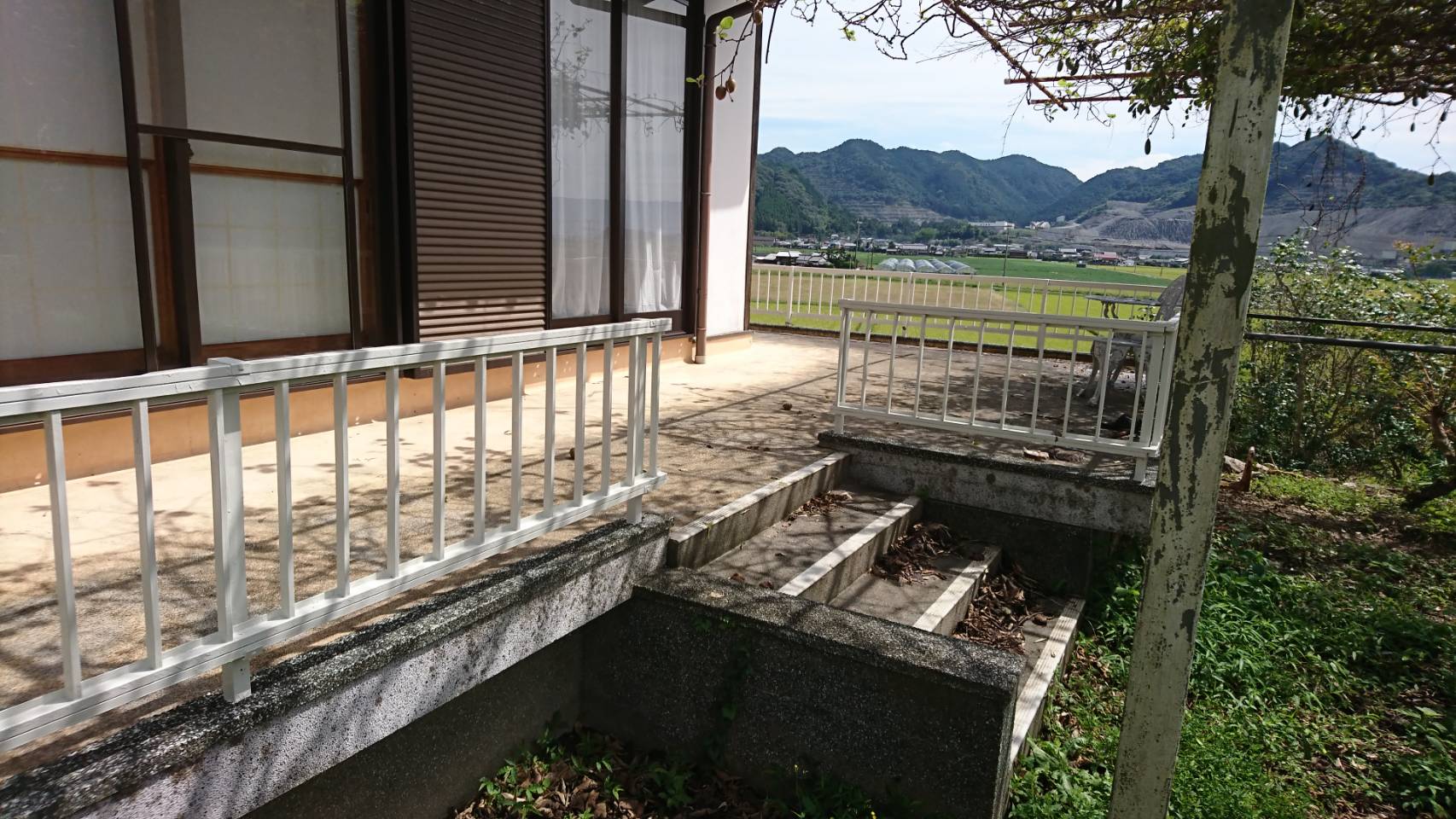 Before画像