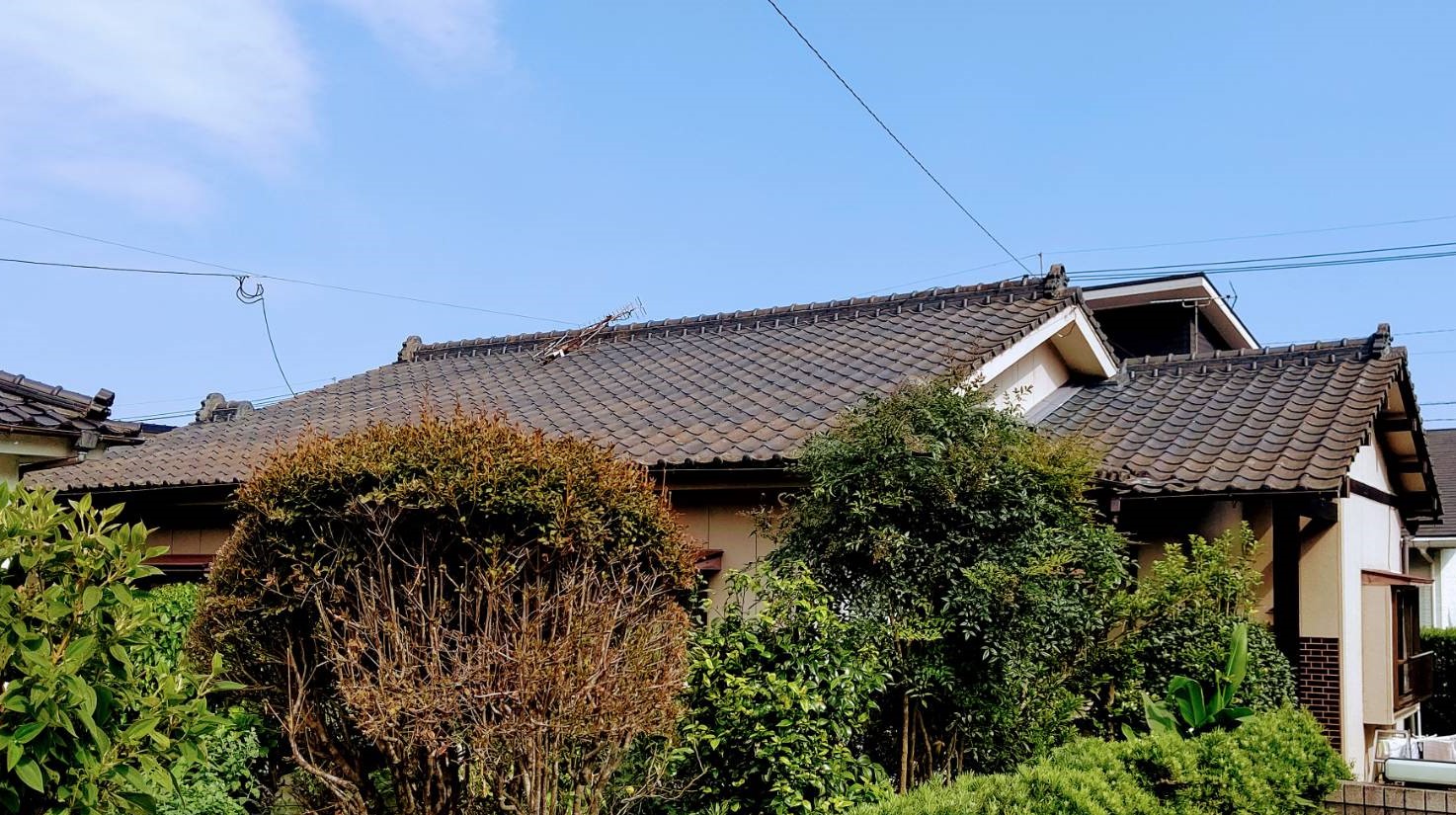 Before画像