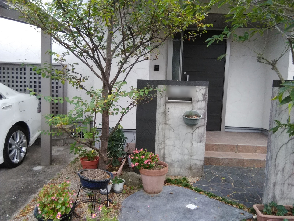 Before画像