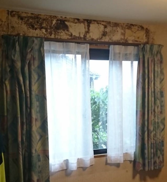 Before画像
