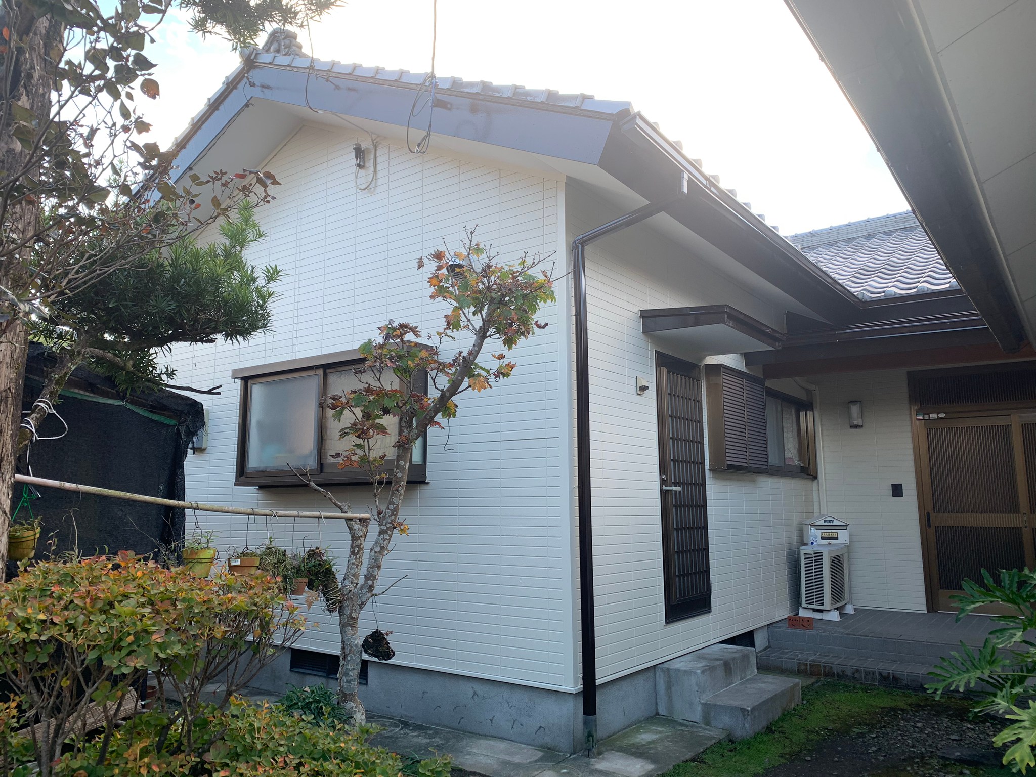 After画像