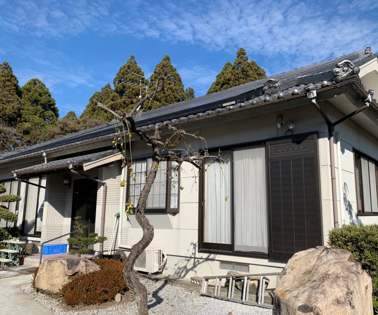 Before画像