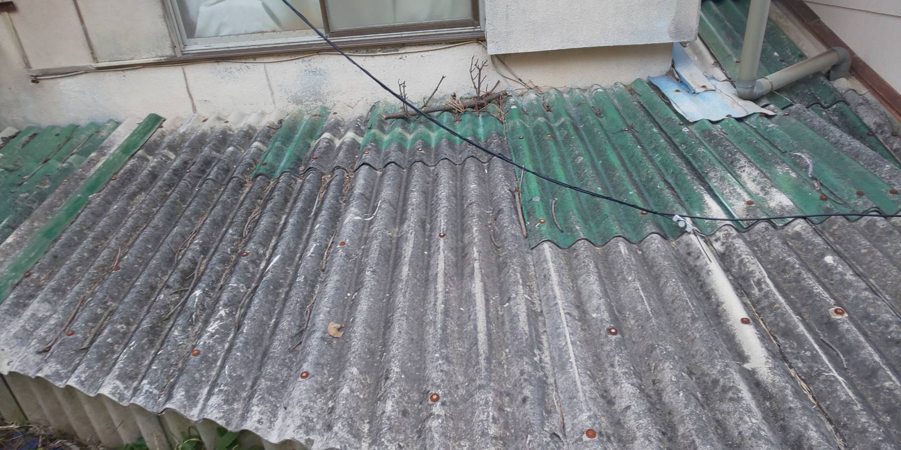 Before画像