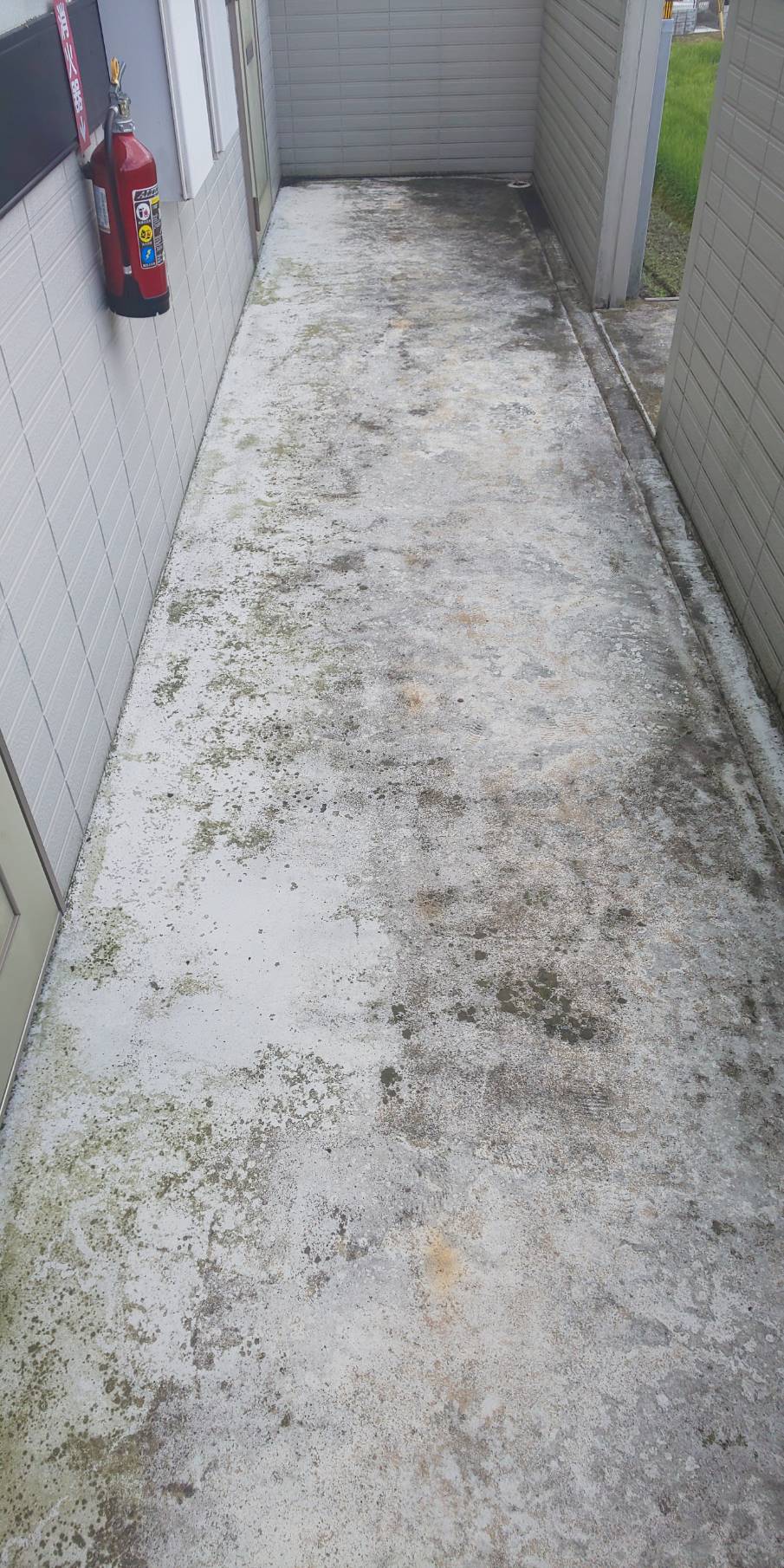 Before画像