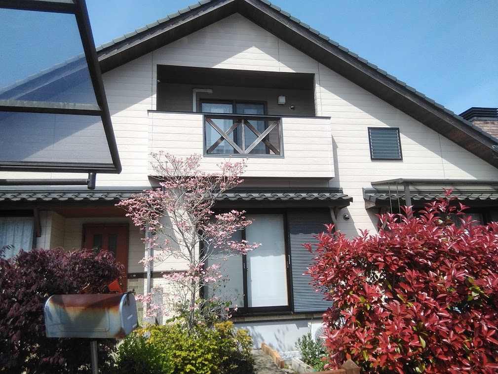 Before画像