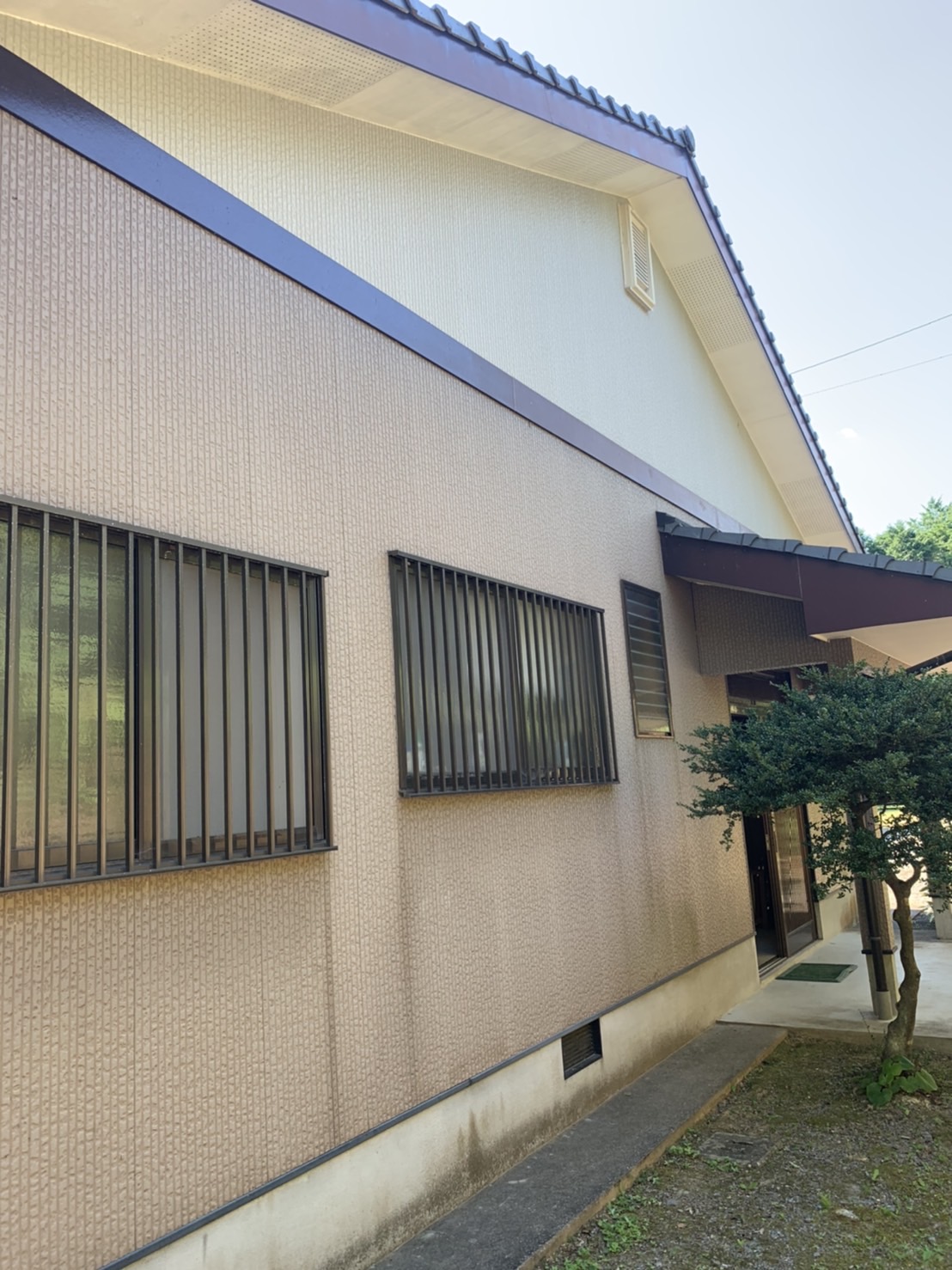 Before画像