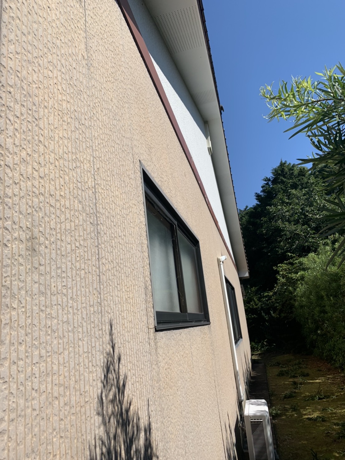 Before画像