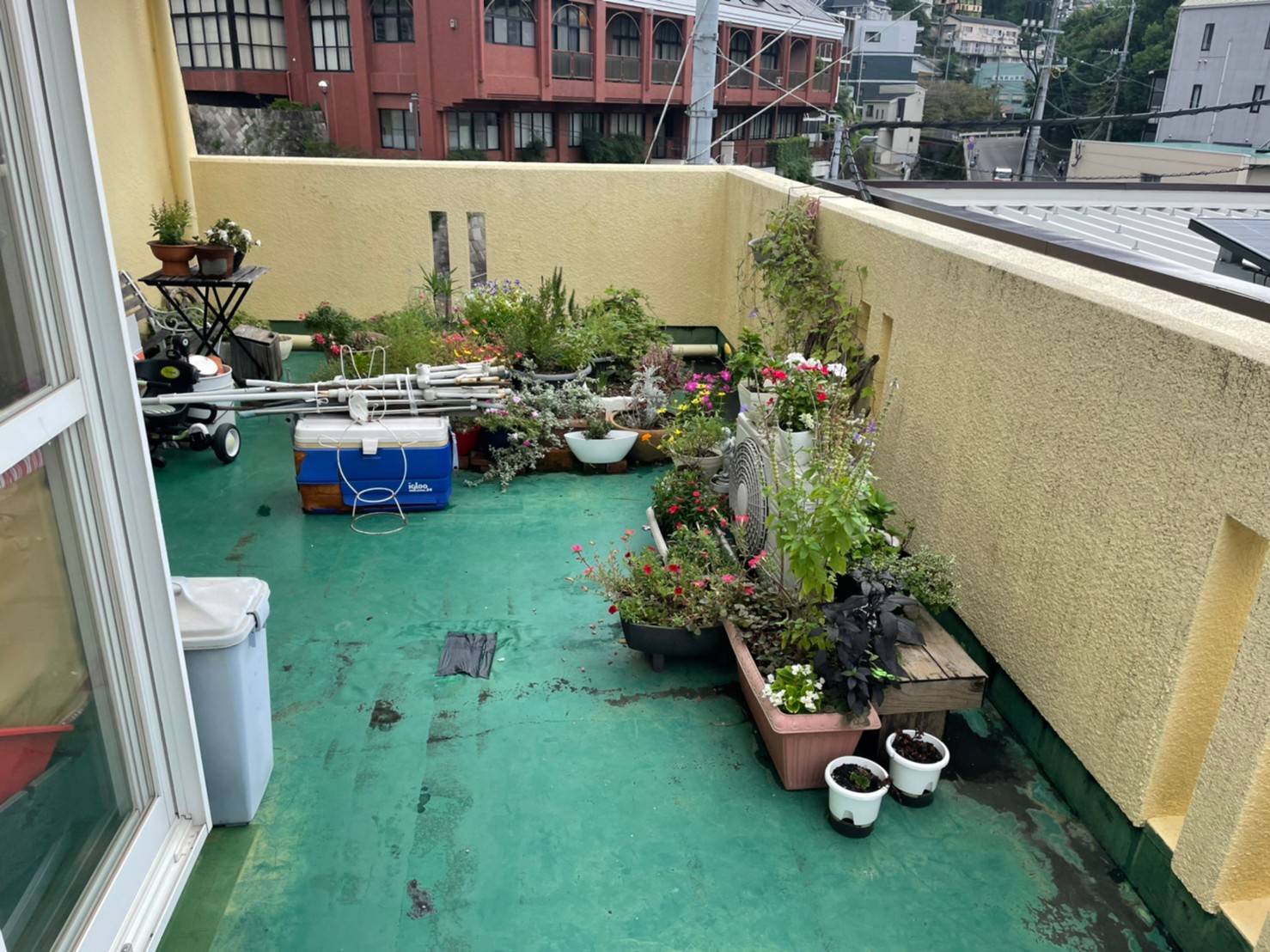 Before画像