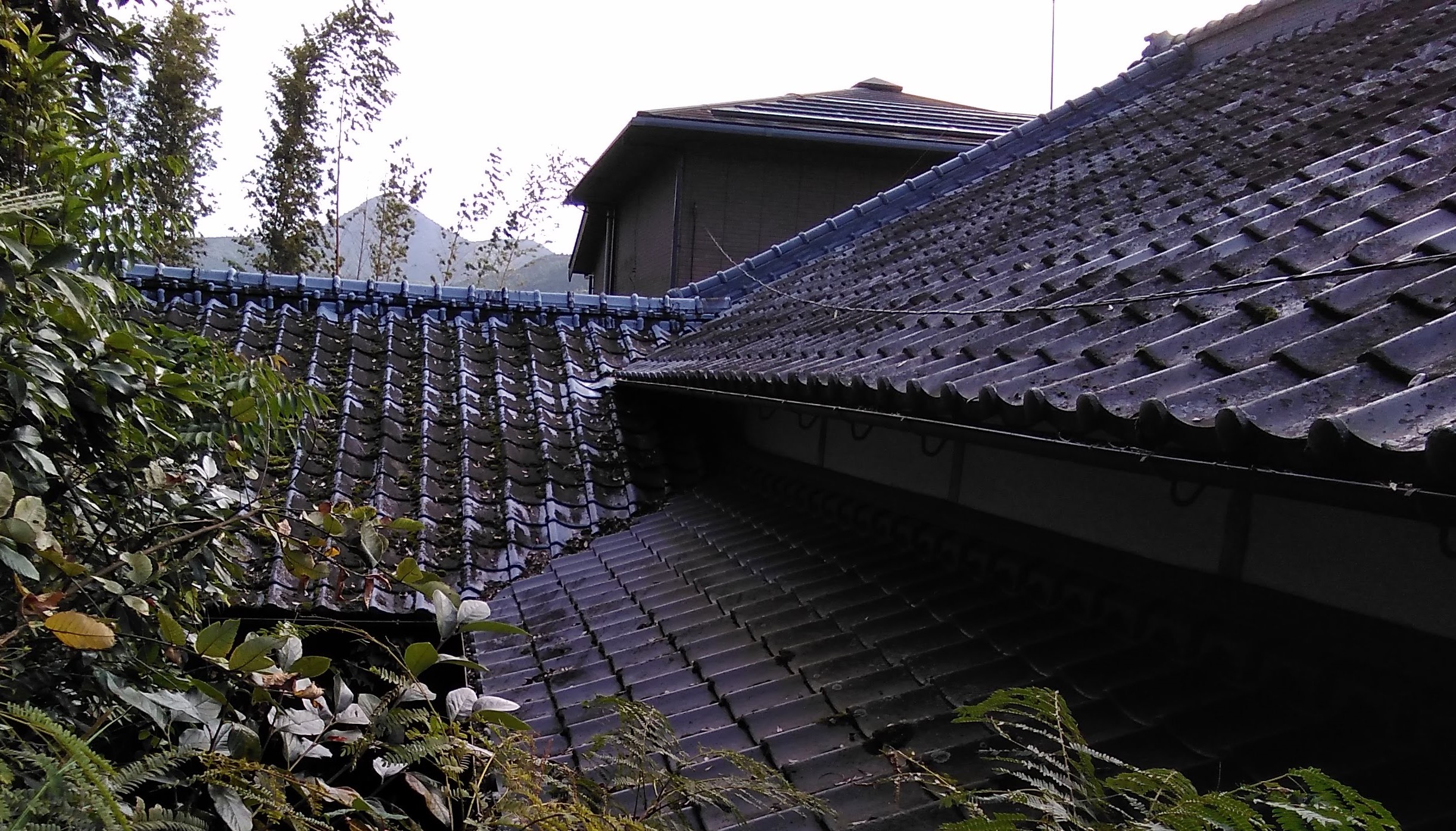 Before画像
