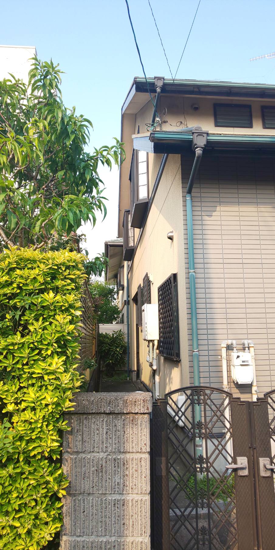 Before画像