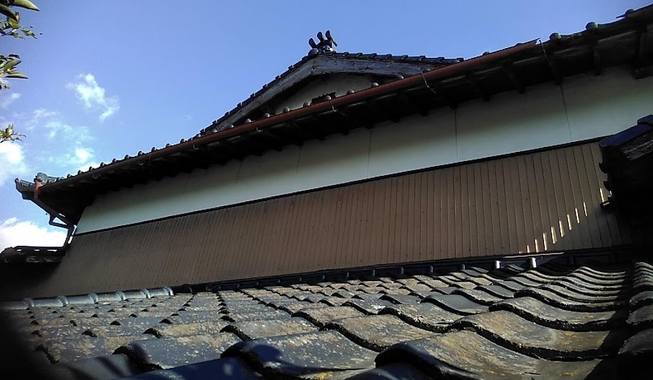 Before画像