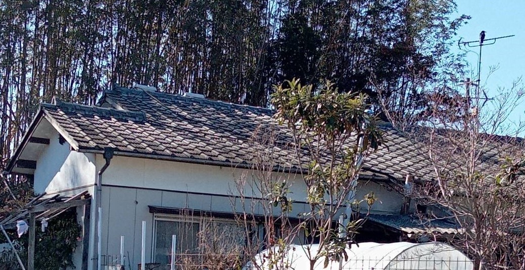 Before画像