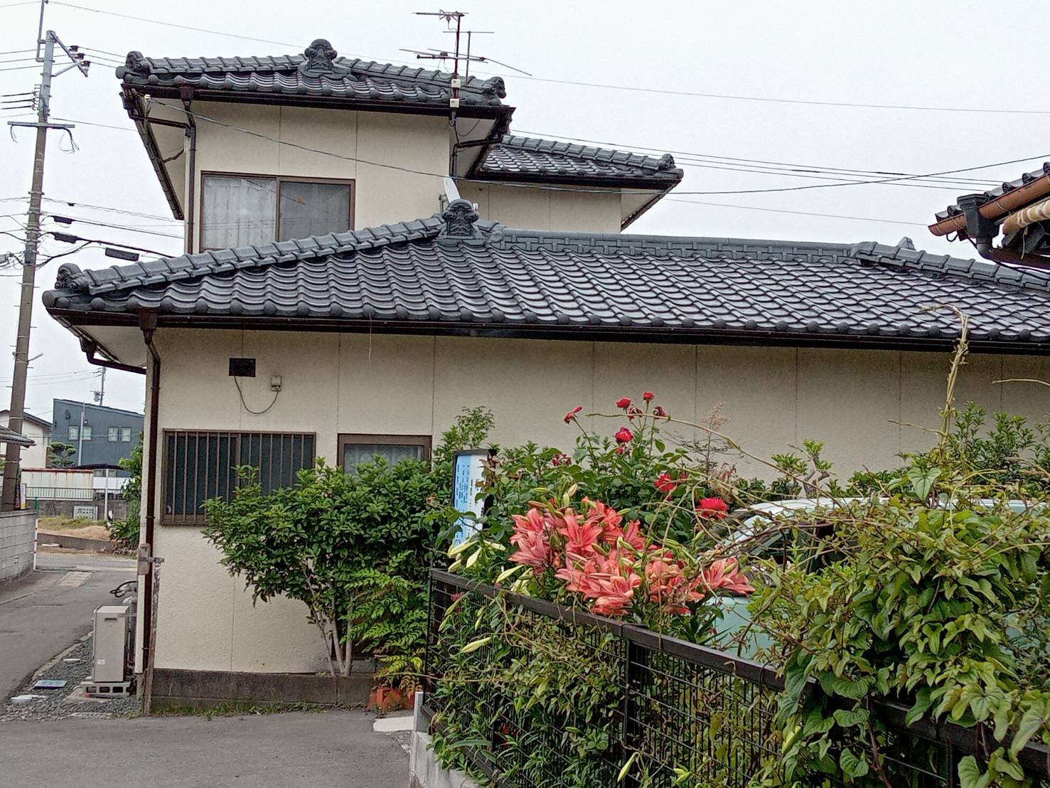 After画像
