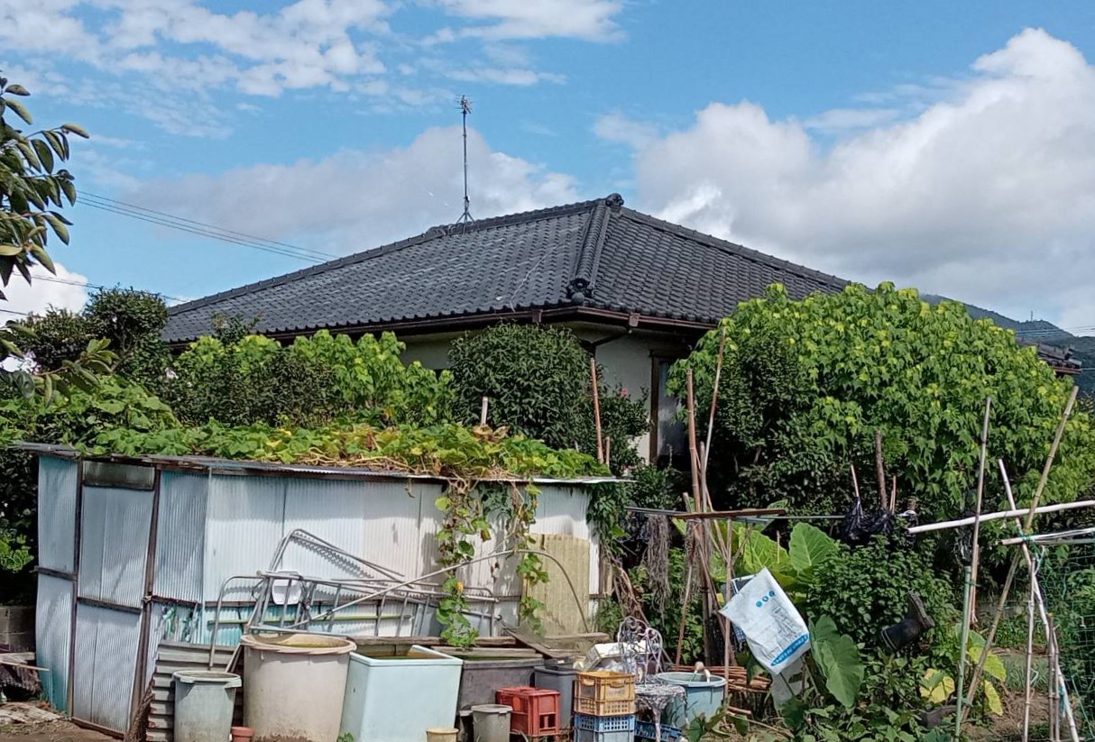 Before画像