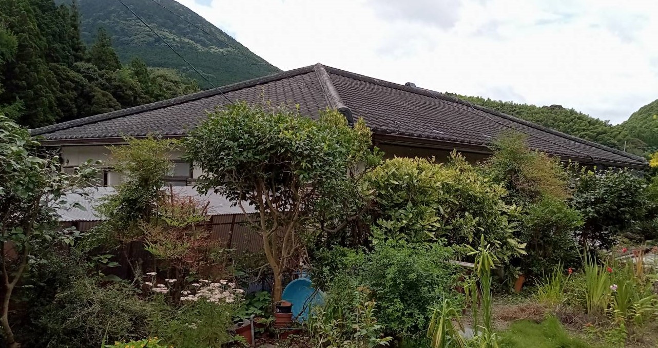 Before画像