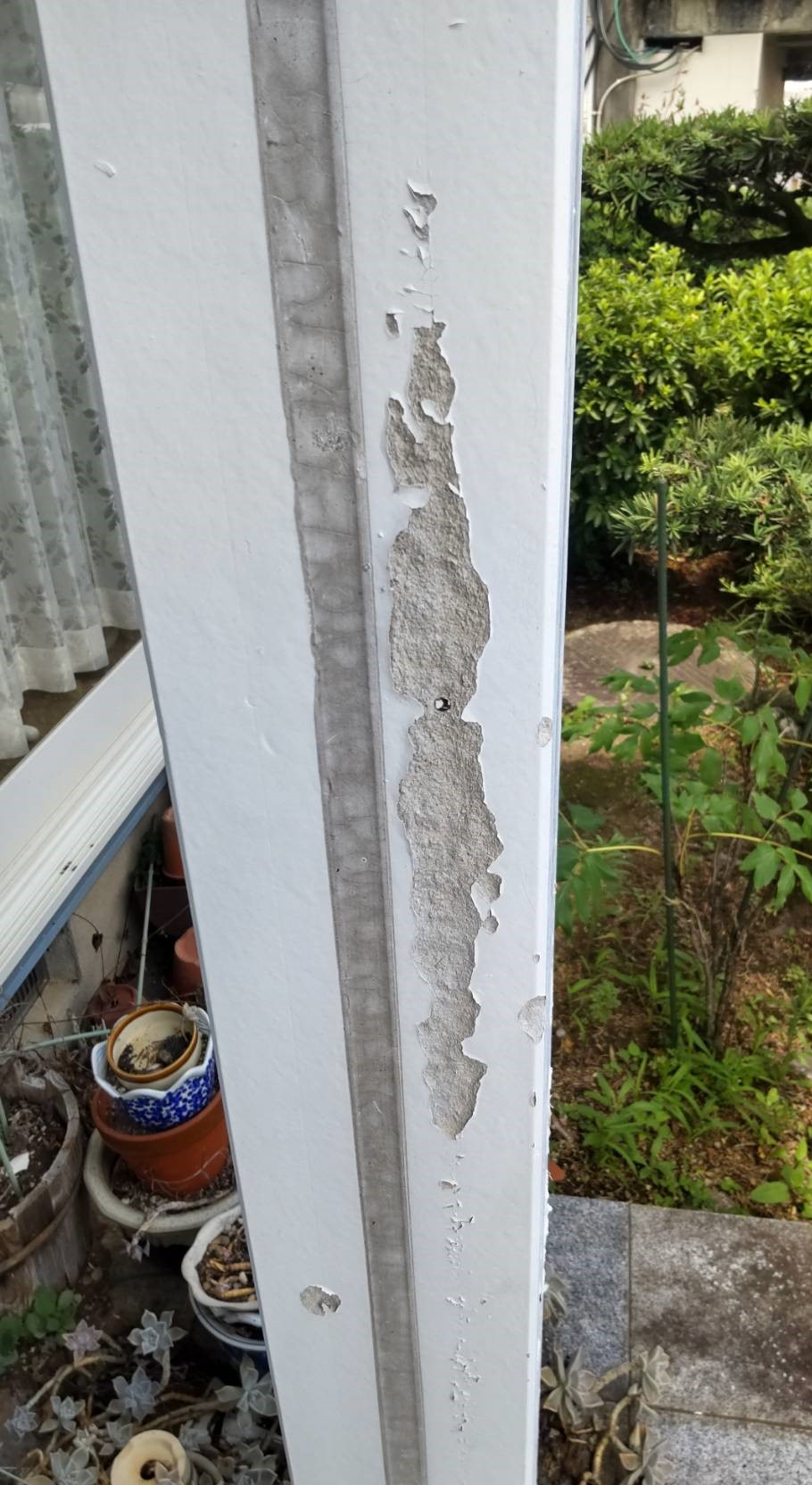 Before画像