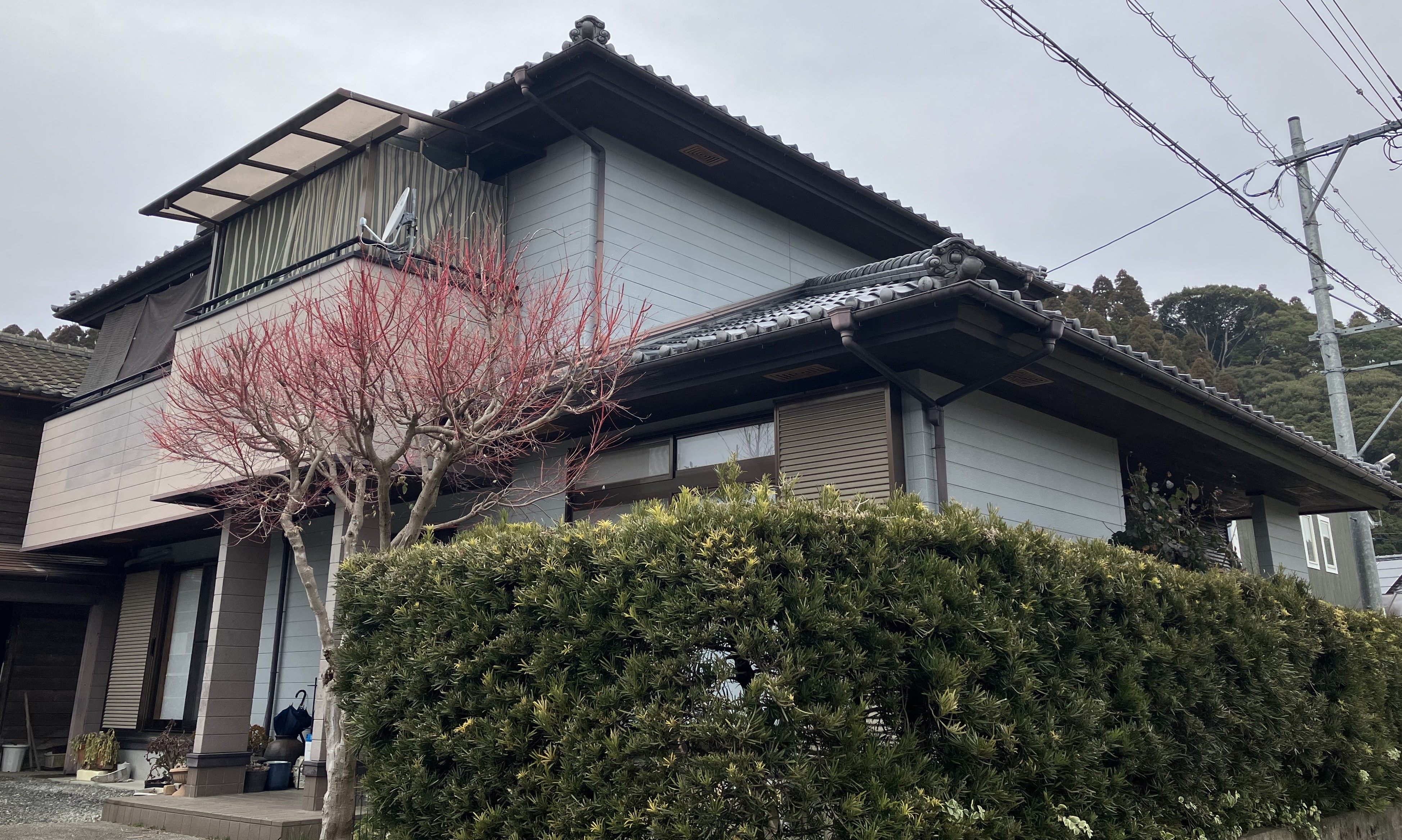 Before画像