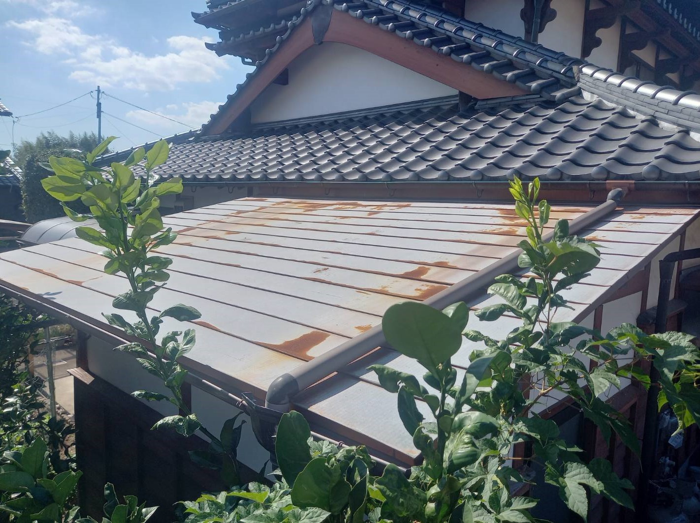 Before画像