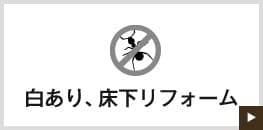 白あり、床下リフォーム